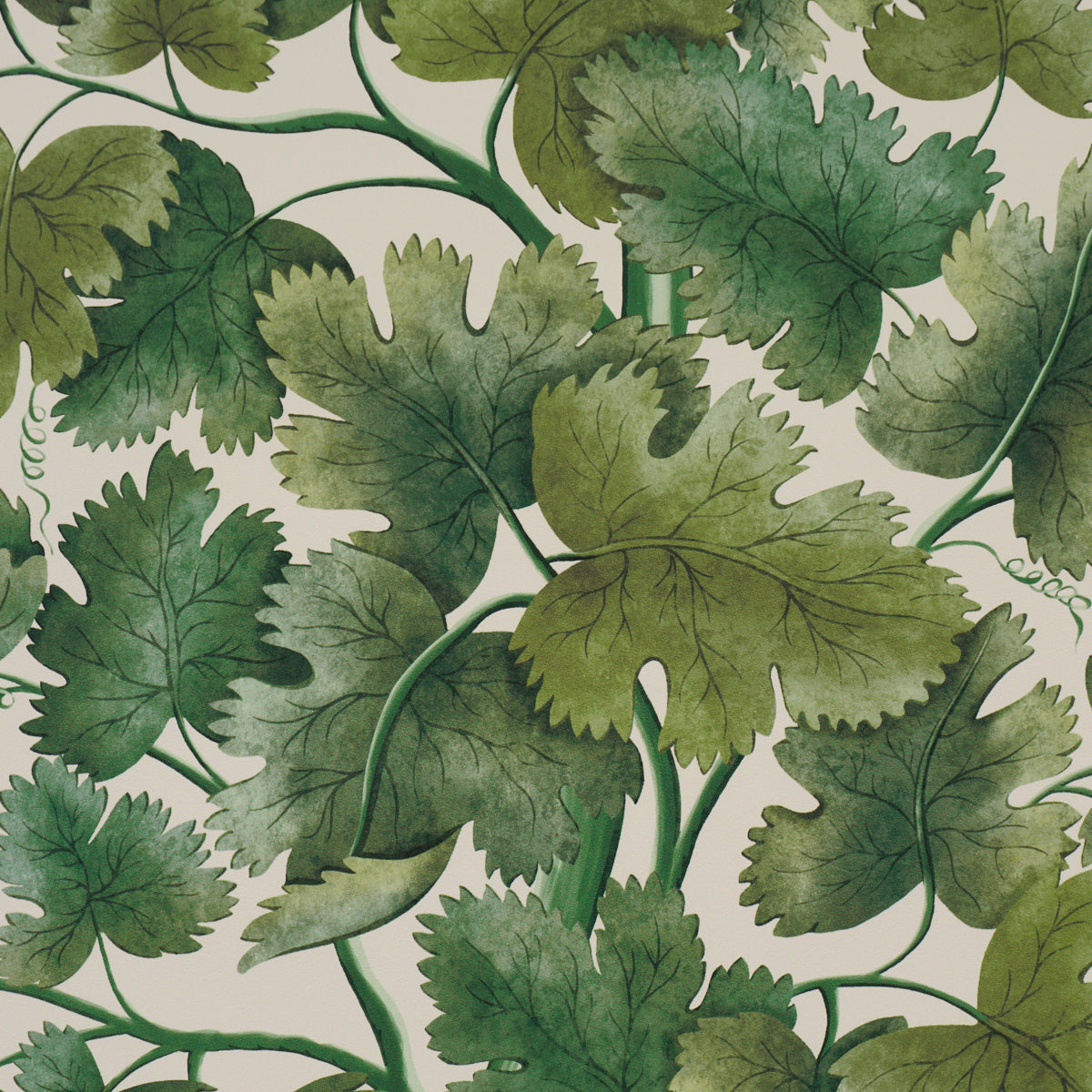 Edinburgh Vine Wallpaper in moss color - pattern number 5017730 - by Schumacher in the A Country Life collection