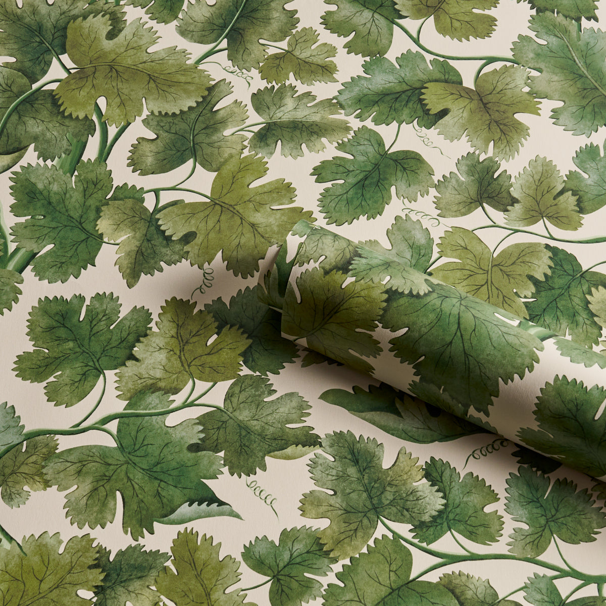 Edinburgh Vine Wallpaper in moss color - pattern number 5017730 - by Schumacher in the A Country Life collection