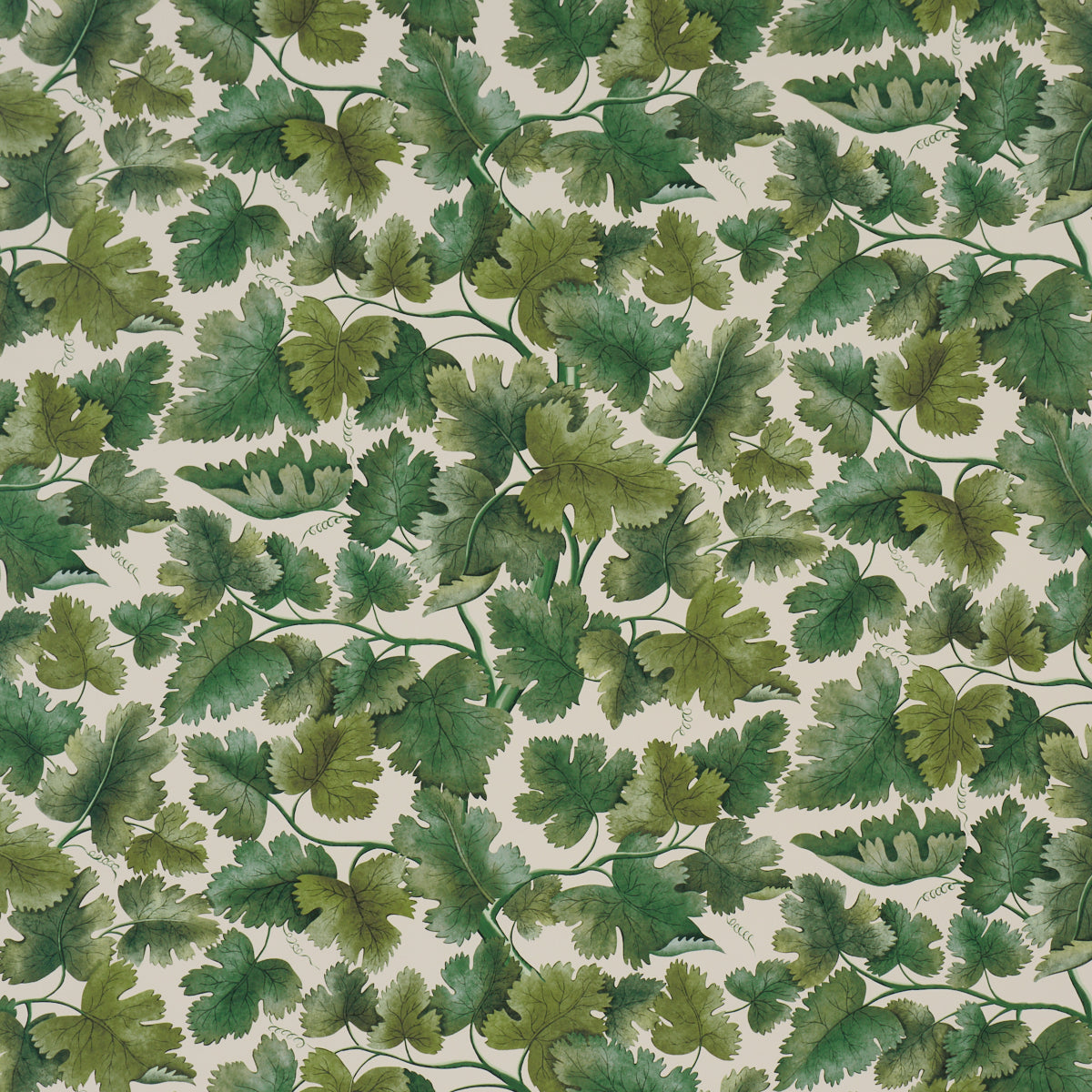 Edinburgh Vine Wallpaper in moss color - pattern number 5017730 - by Schumacher in the A Country Life collection