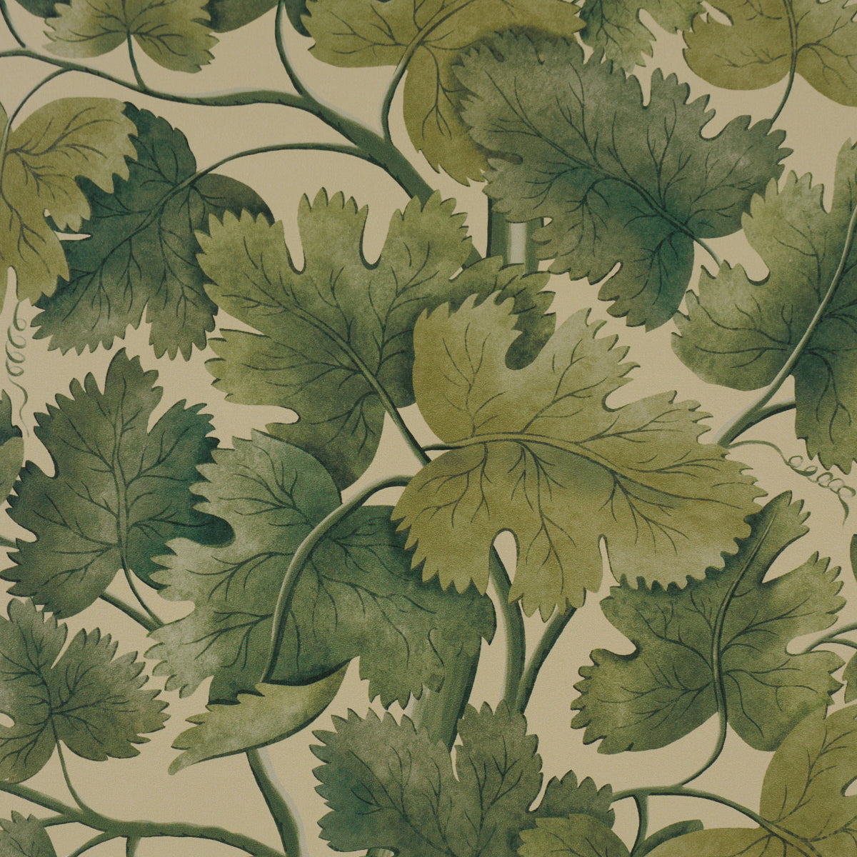 Edinburgh Vine Wallpaper in forest color - pattern number 5017731 - by Schumacher in the A Country Life collection