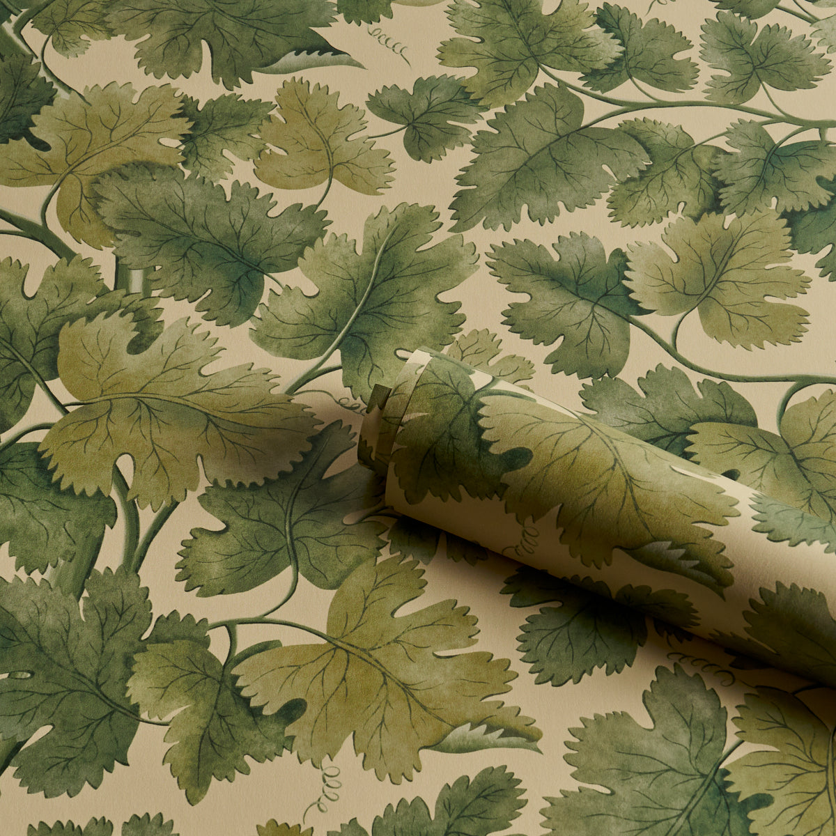 Edinburgh Vine Wallpaper in forest color - pattern number 5017731 - by Schumacher in the A Country Life collection