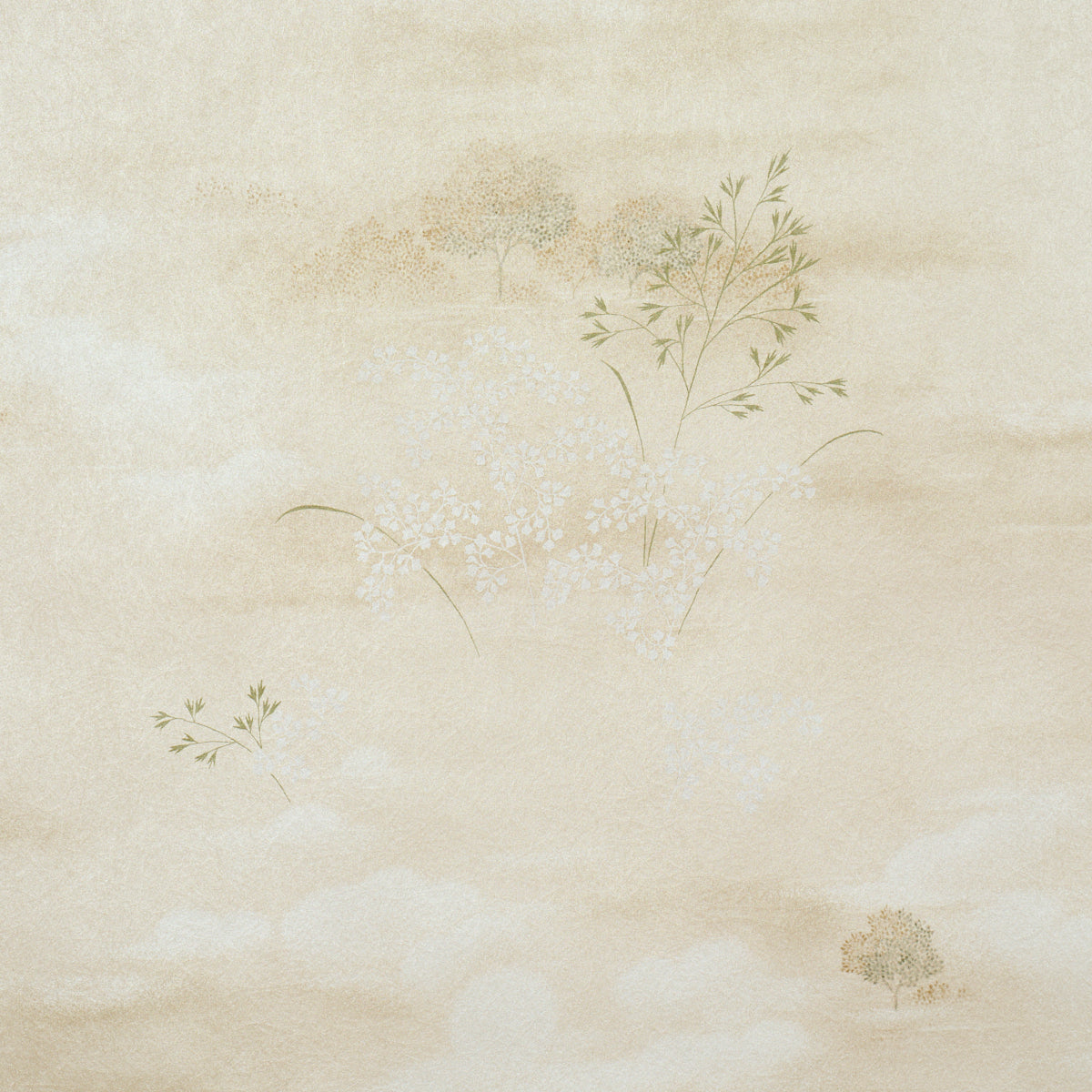 Calm Skies Wallpaper in sage color - pattern number 5018041 - by Schumacher in the Japonisme collection