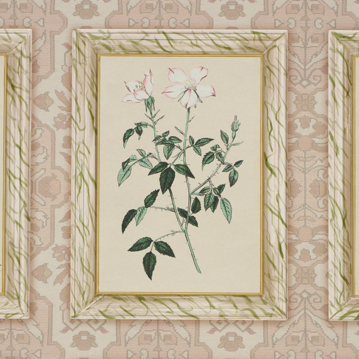 Garden&