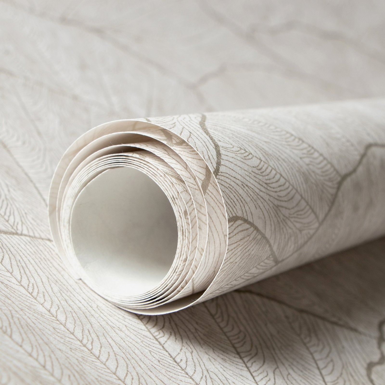 Seashell wallpaper in silver grey color - pattern number GH65004-23 - by Galerie in the Feel collection