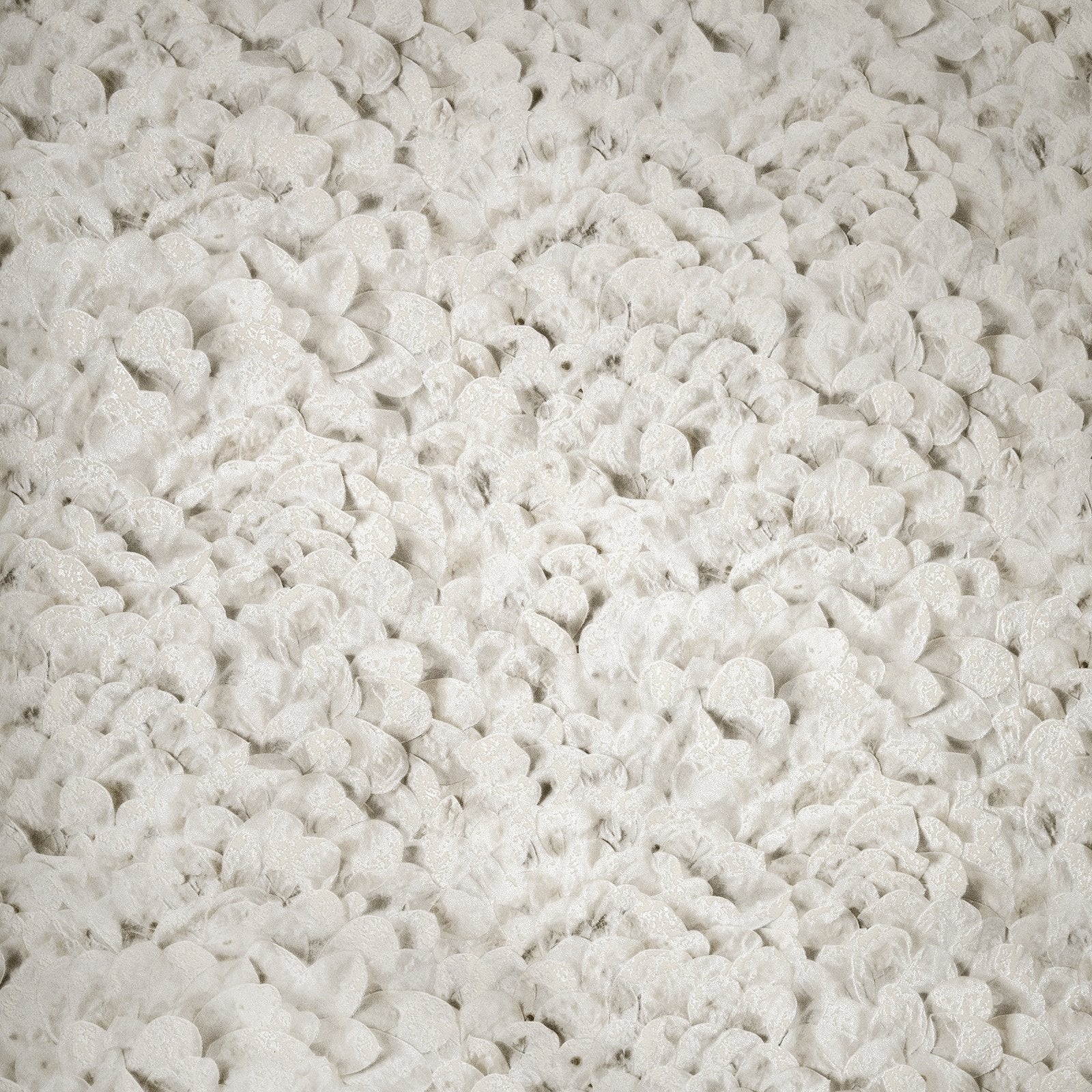 Arco wallpaper in cream color - pattern number GH65310-23 - by Galerie in the Salt collection