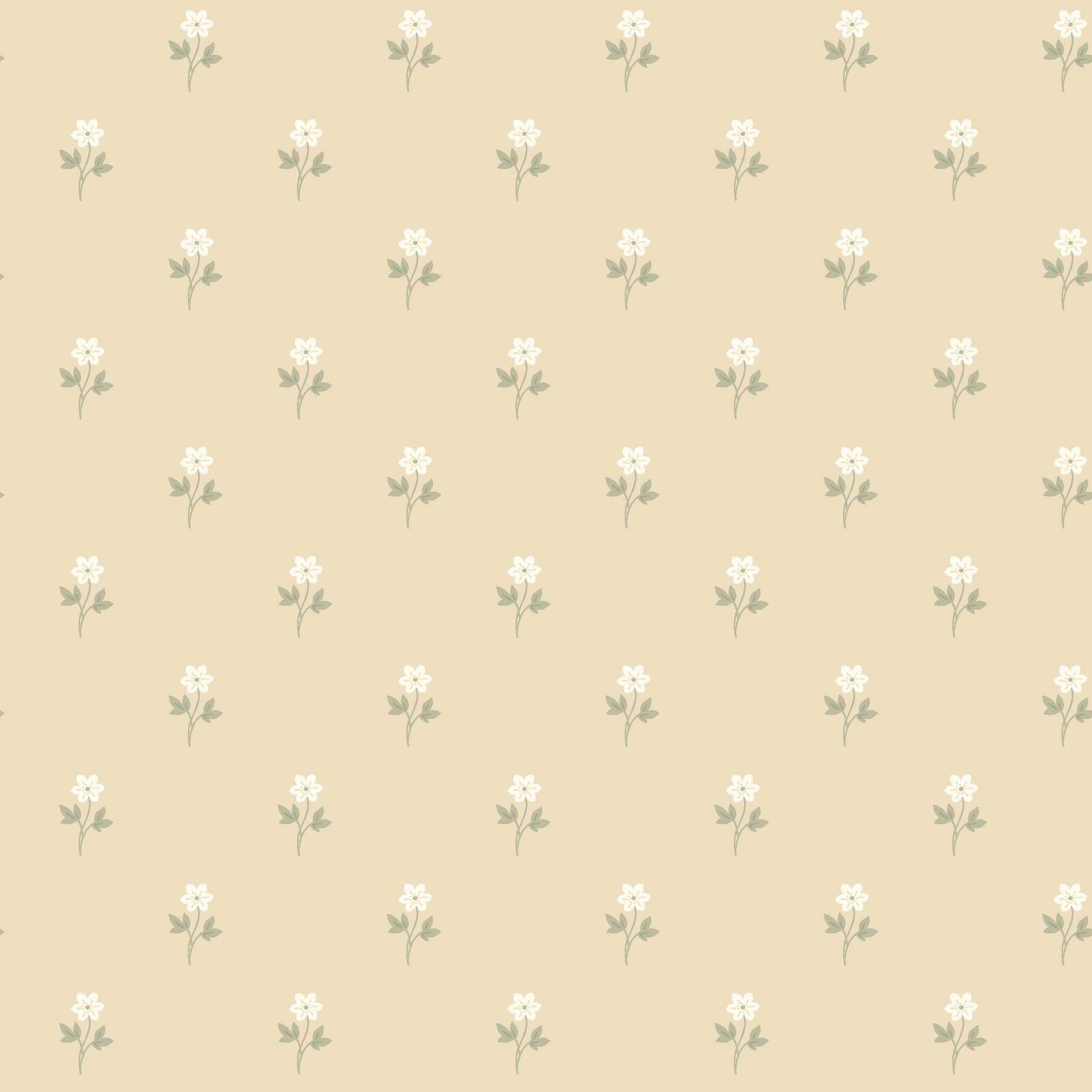Anemone By Boråstapeter Wallpaper in wheat color - pattern number 6972 - by Schumacher in the Borastapeter collection