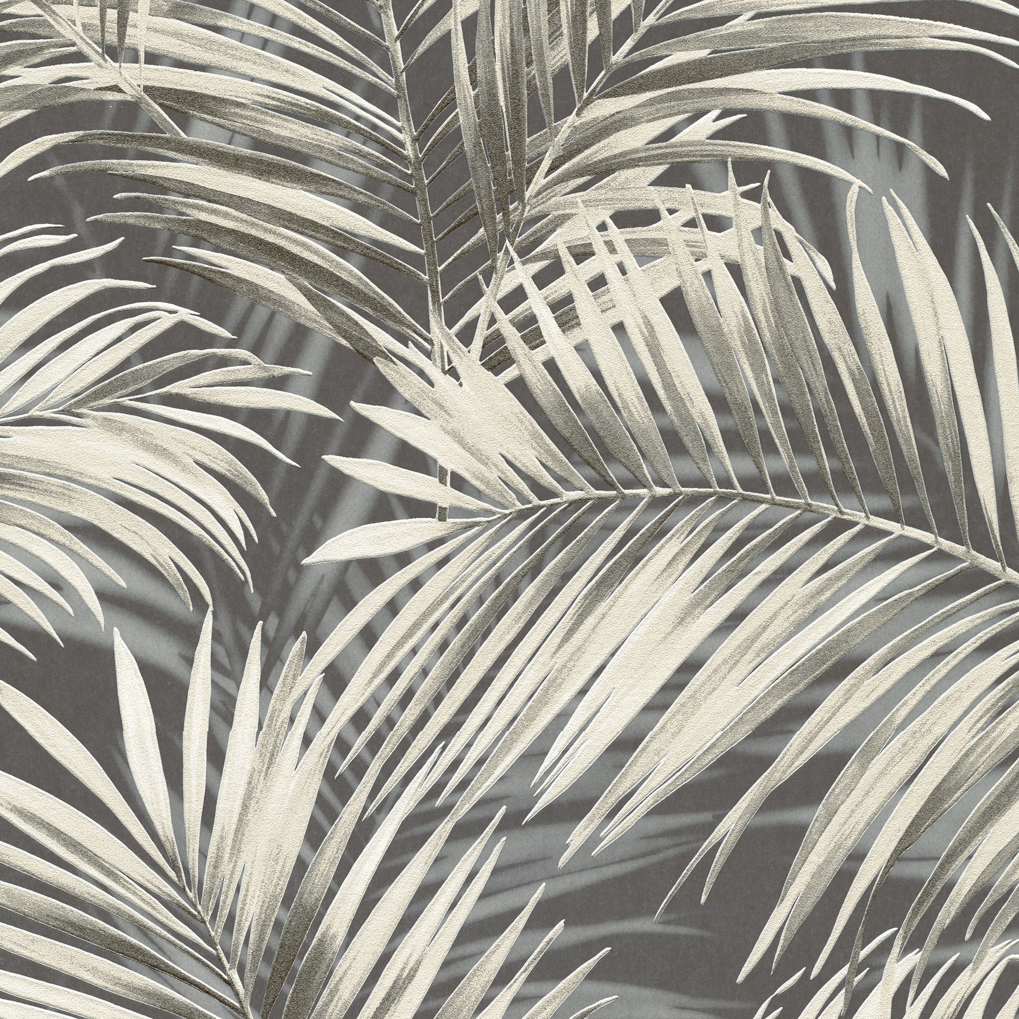 Calvado Palm Wallpaper in black color - pattern number 8414-VRINC-AC3 - by Veer Decor in the Veer Decor 2025 Collection collection