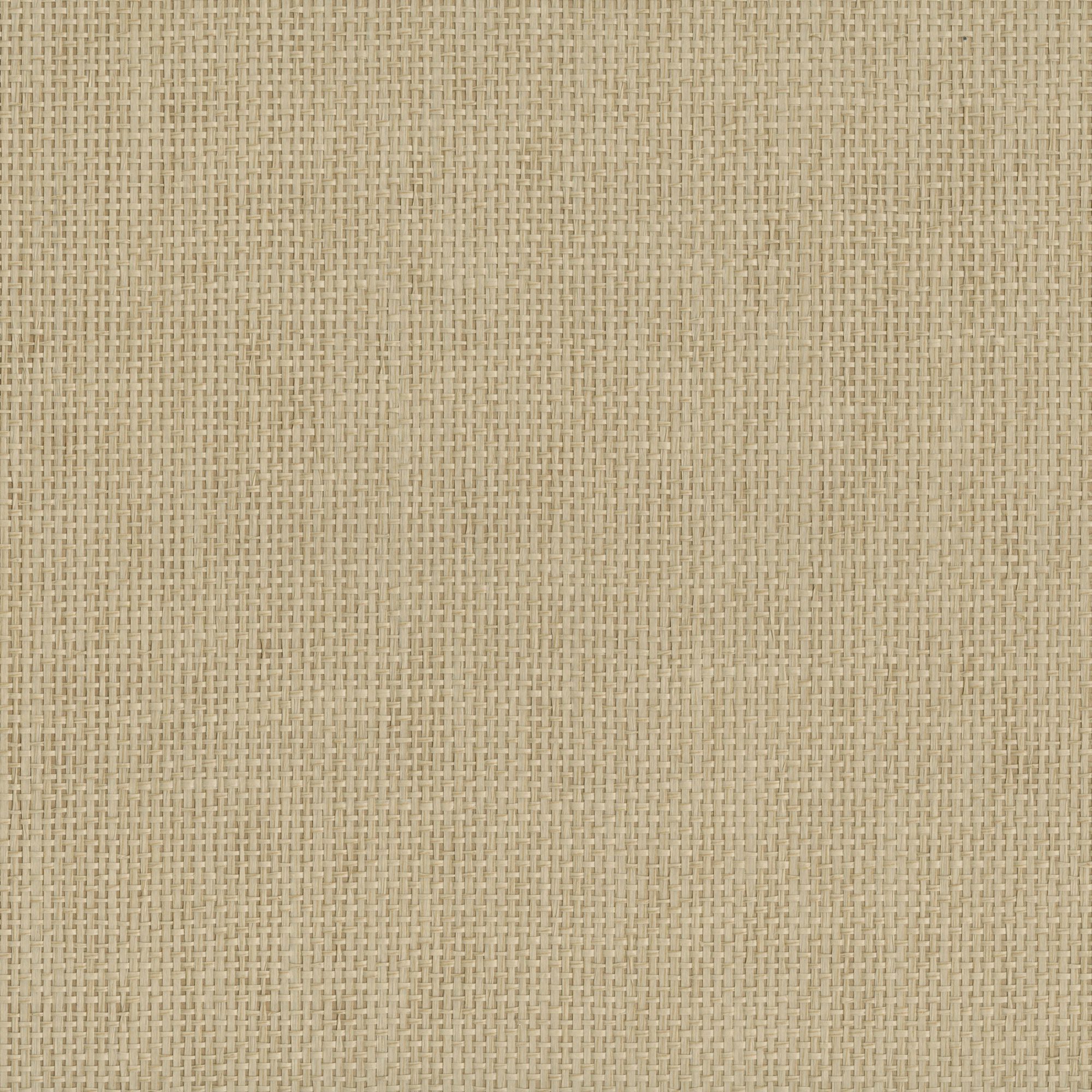 9051 wallpaper in 14 color - pattern number 905114WS121 - by JF wallpapers in the Indochine collection