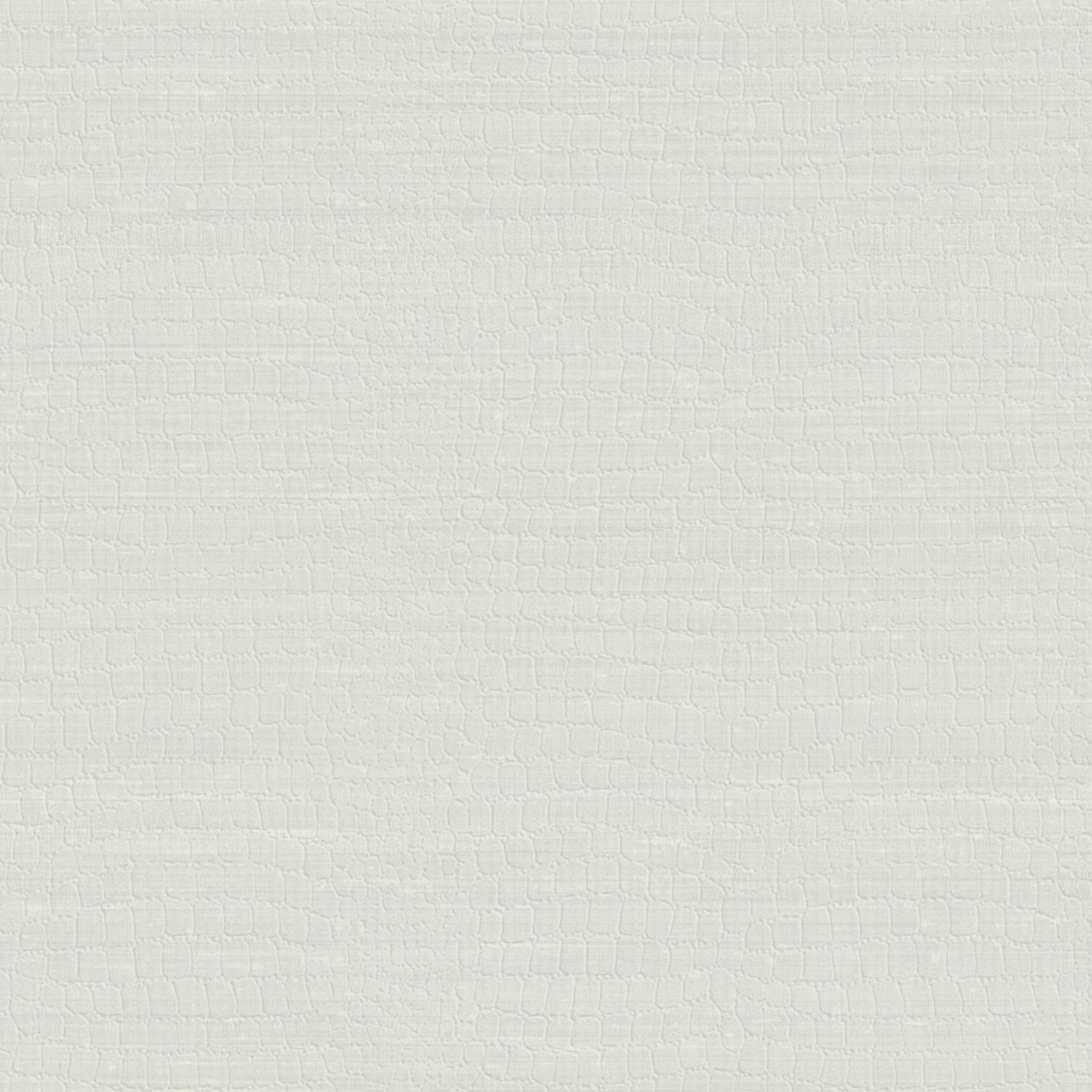 Trocadero fabric in grey color - pattern number 9250 - by Armani Casa in the Refined Structures collection