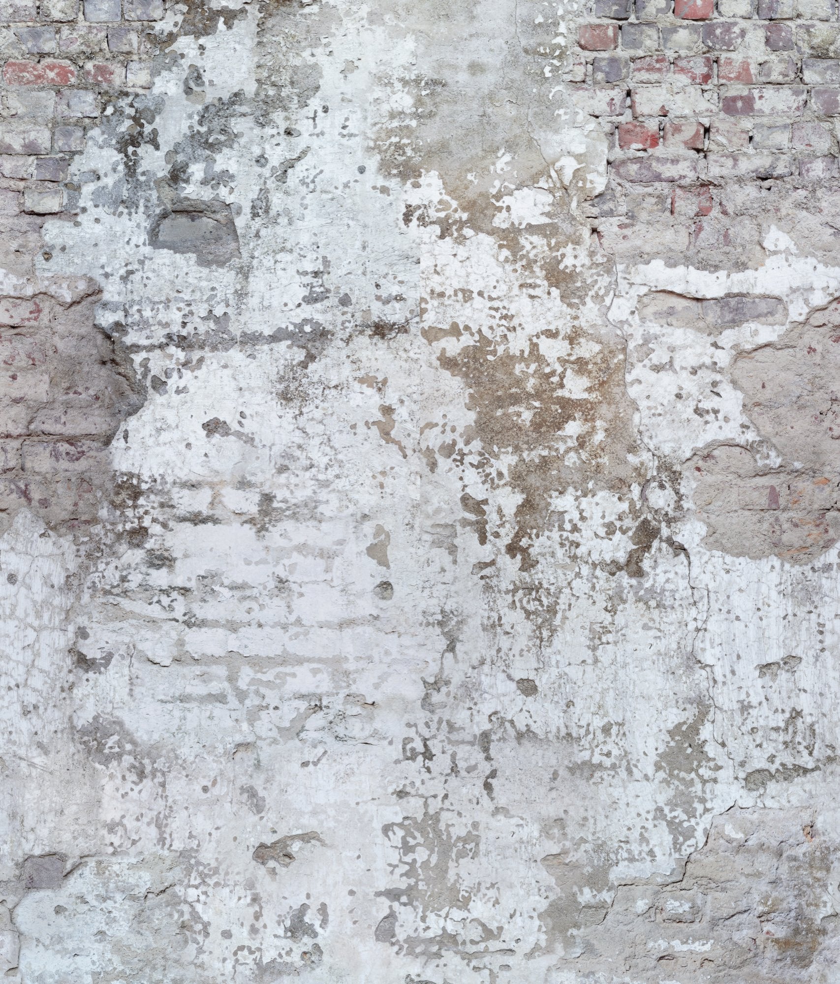 Photographic Motive 3 Panel Mural in white color - pattern number A42301 - by Grandeco in the Orom II collection
