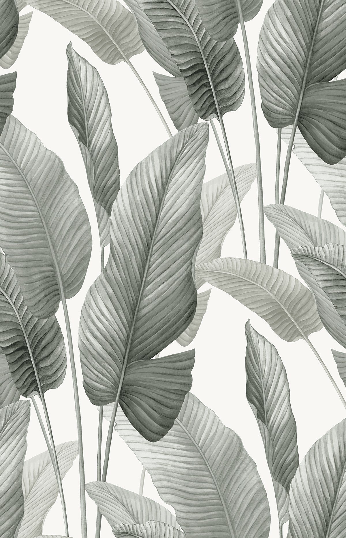 Mantra Wallpaper in pebble color - pattern number AG60010 - by Seabrook in the Bali Tropical collection