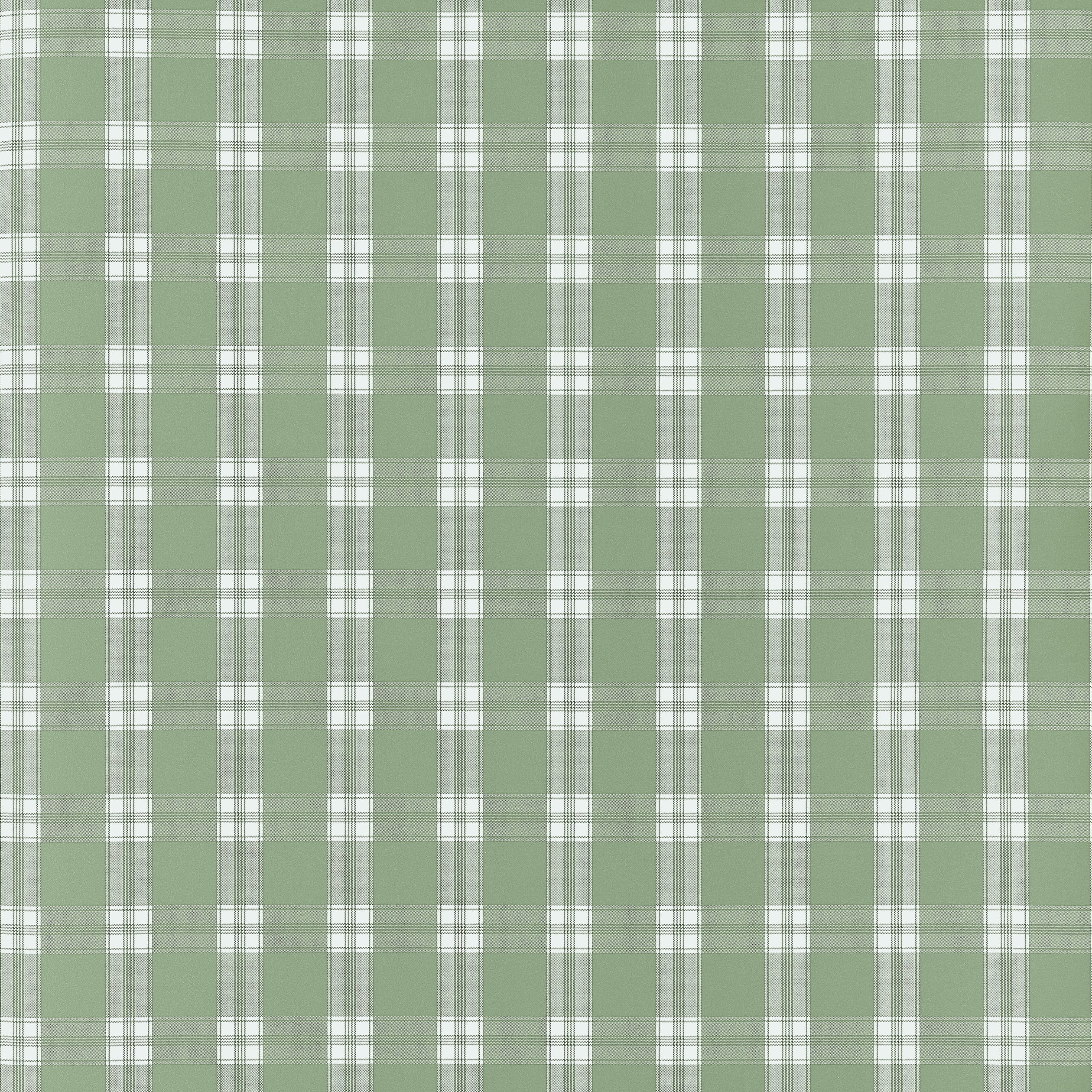 Payton Check Wallpaper in green color - pattern number AT10709 - by Thibaut in the Clermont collection
