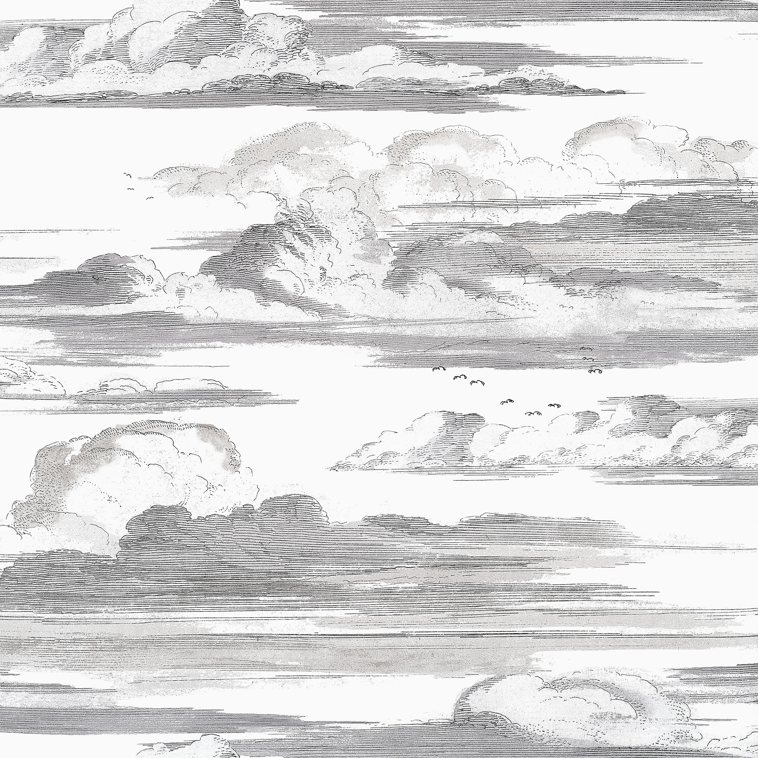 Cielo wallpaper in black and white color - pattern number AT57872 - by Anna French in the Bristol collection