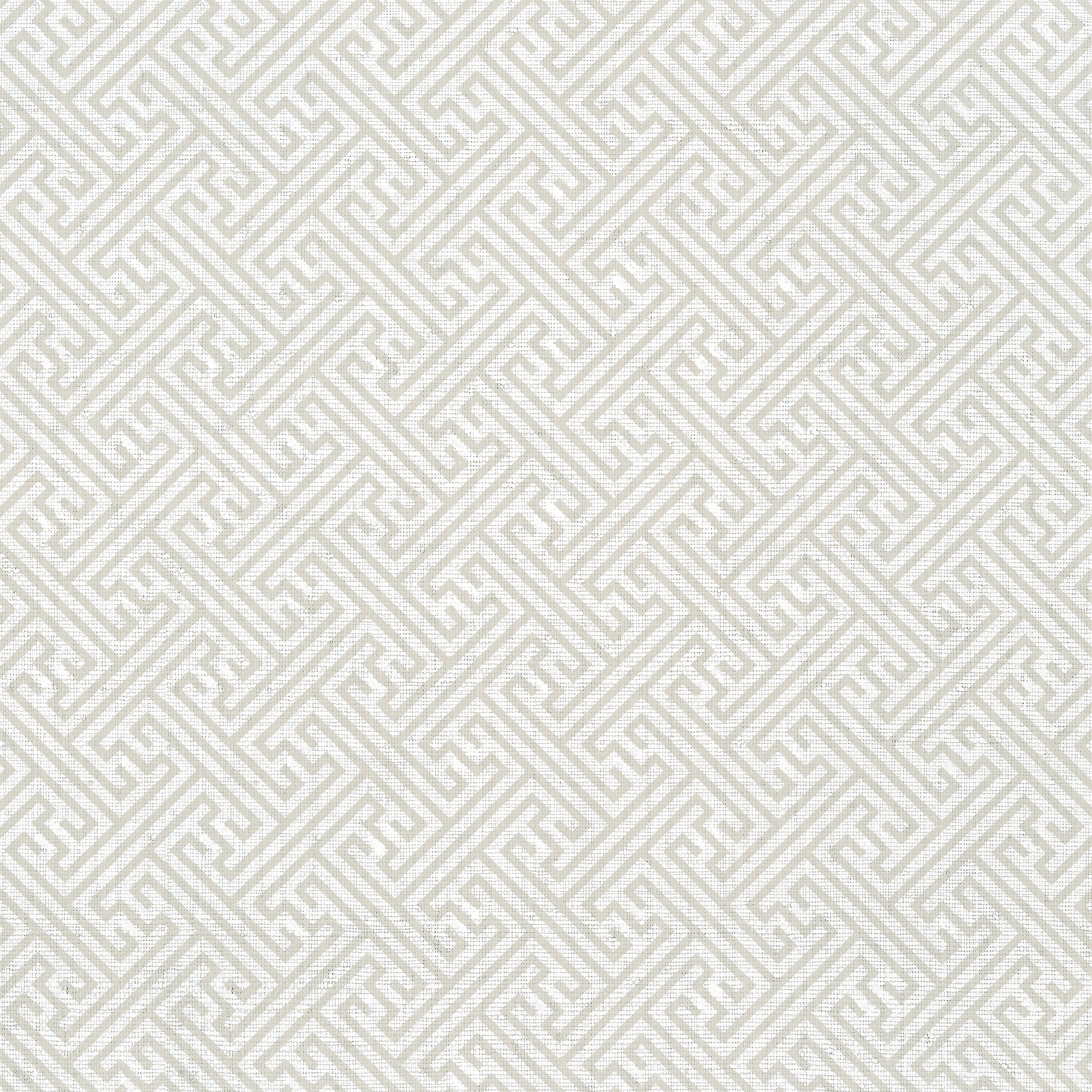 Charlotte Raffia fabric in light taupe color - pattern number AT9839 - by Anna French in the Nara collection