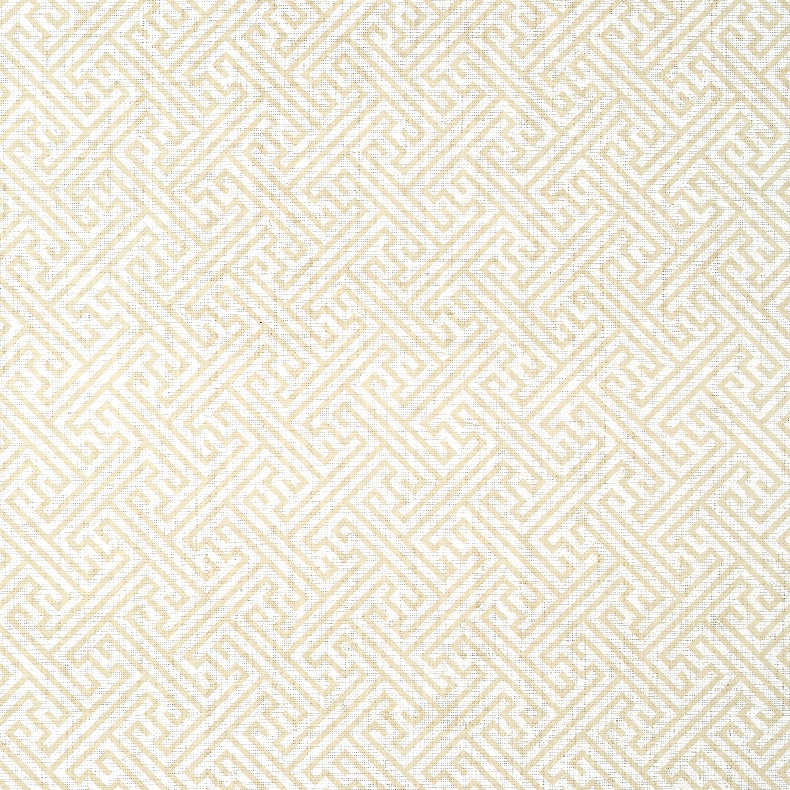 Charlotte Raffia fabric in white on natural color - pattern number AT9840 - by Anna French in the Nara collection