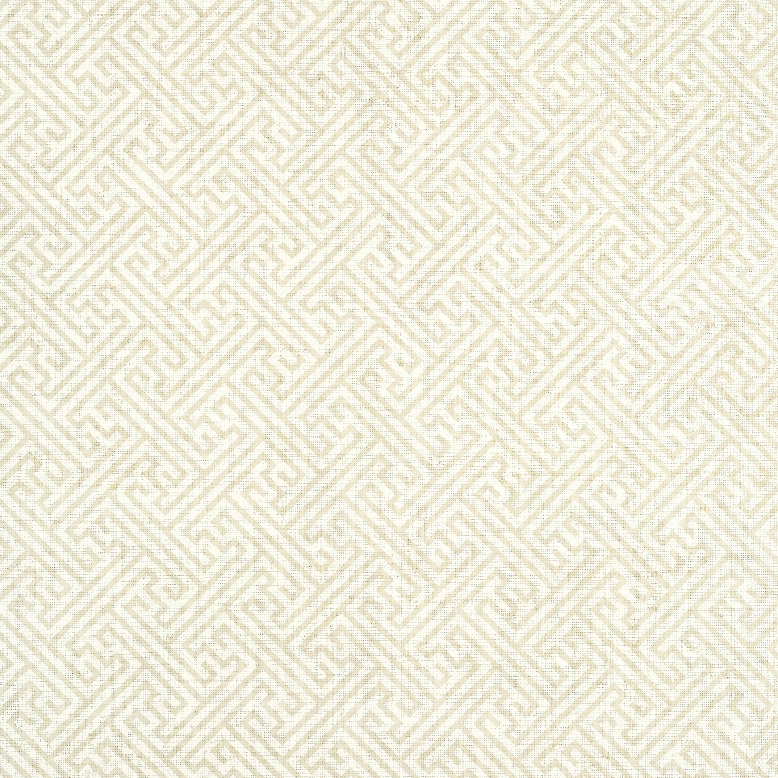Charlotte Raffia fabric in tan color - pattern number AT9841 - by Anna French in the Nara collection