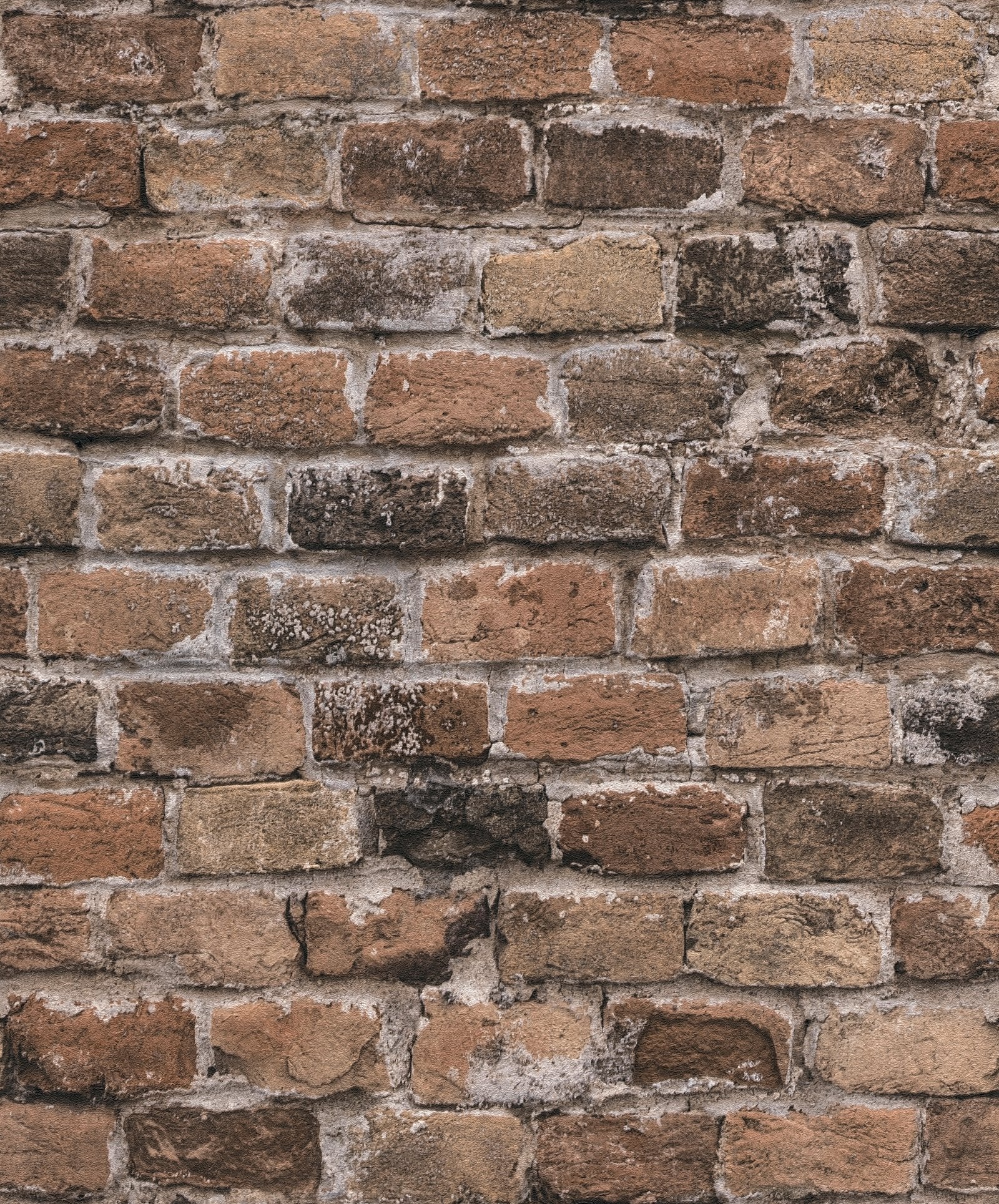 Brickshire Residents Motif wallpaper in bronze brown color - pattern number BB51116 - by Galerie in the The Bricks And More collection