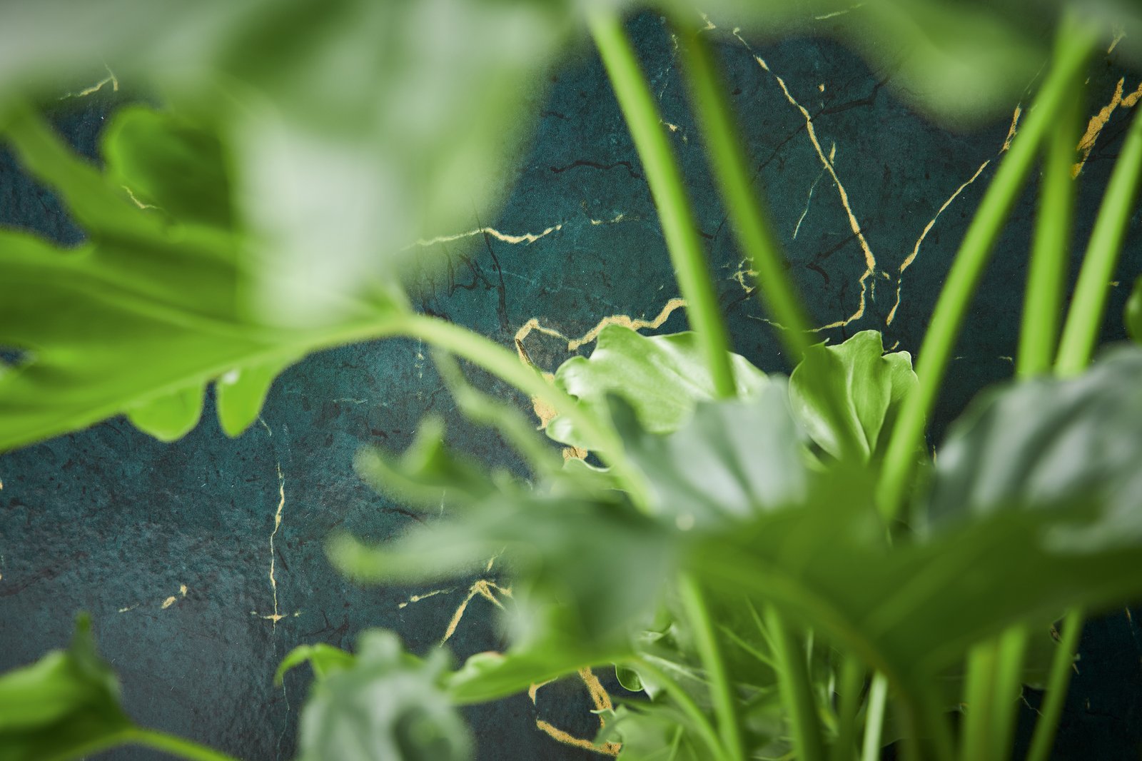 Luxurious Marble Motif wallpaper in green color - pattern number BB51158 - by Galerie in the The Bricks And More collection