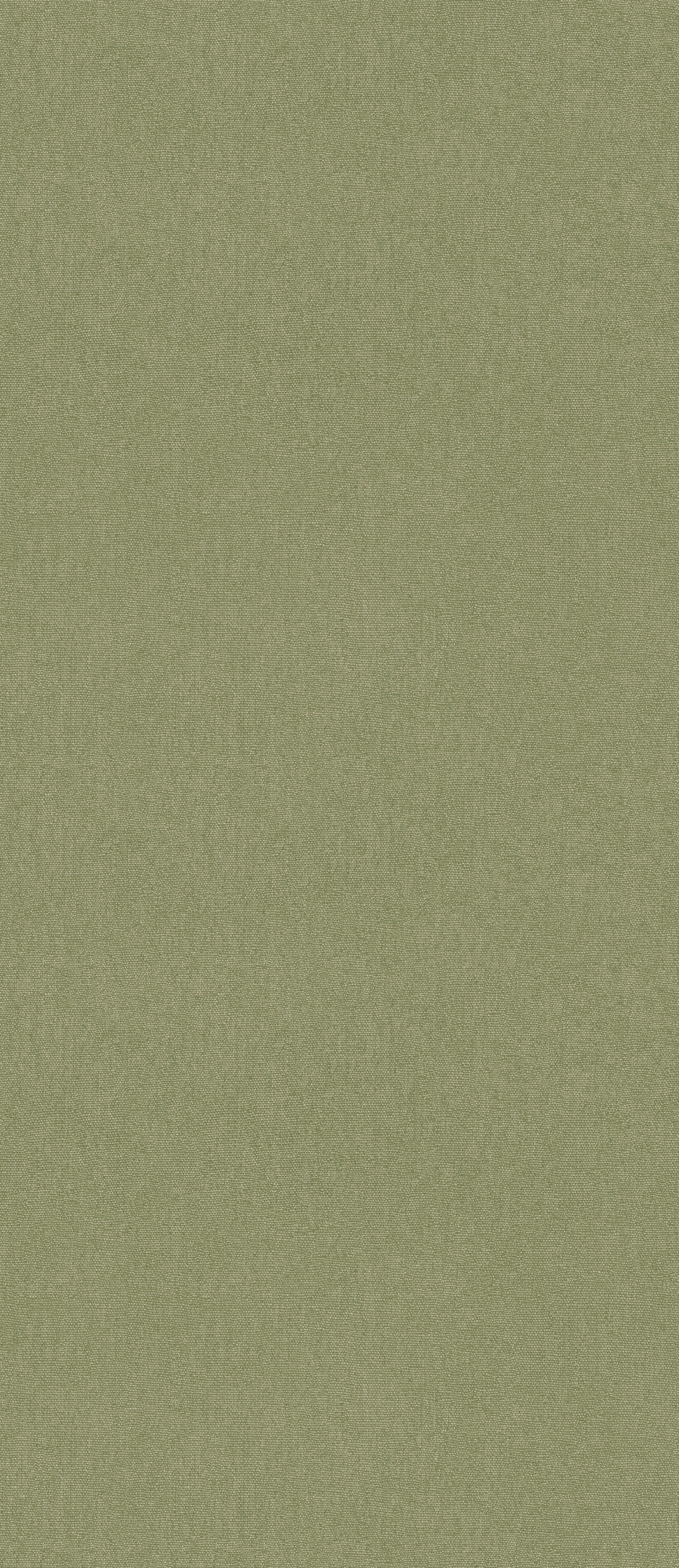 Cubby Wallpaper in grass color - pattern number BW45168.736.0 - by G P & J Baker in the Kit Kemp Cubby collection