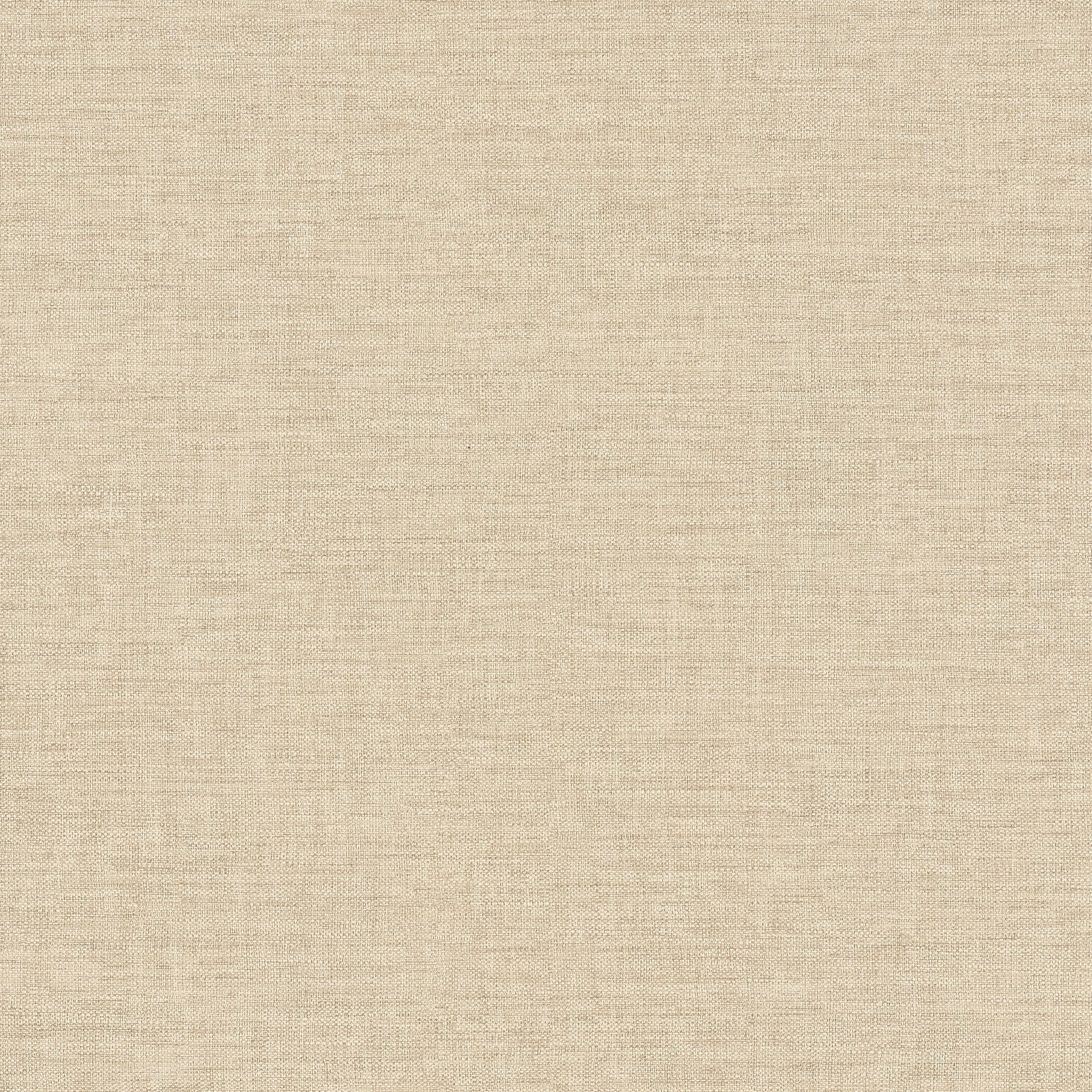 Rough Textile Wallpaper in beige color - pattern number CO1004 - by Grandeco in the Concept collection