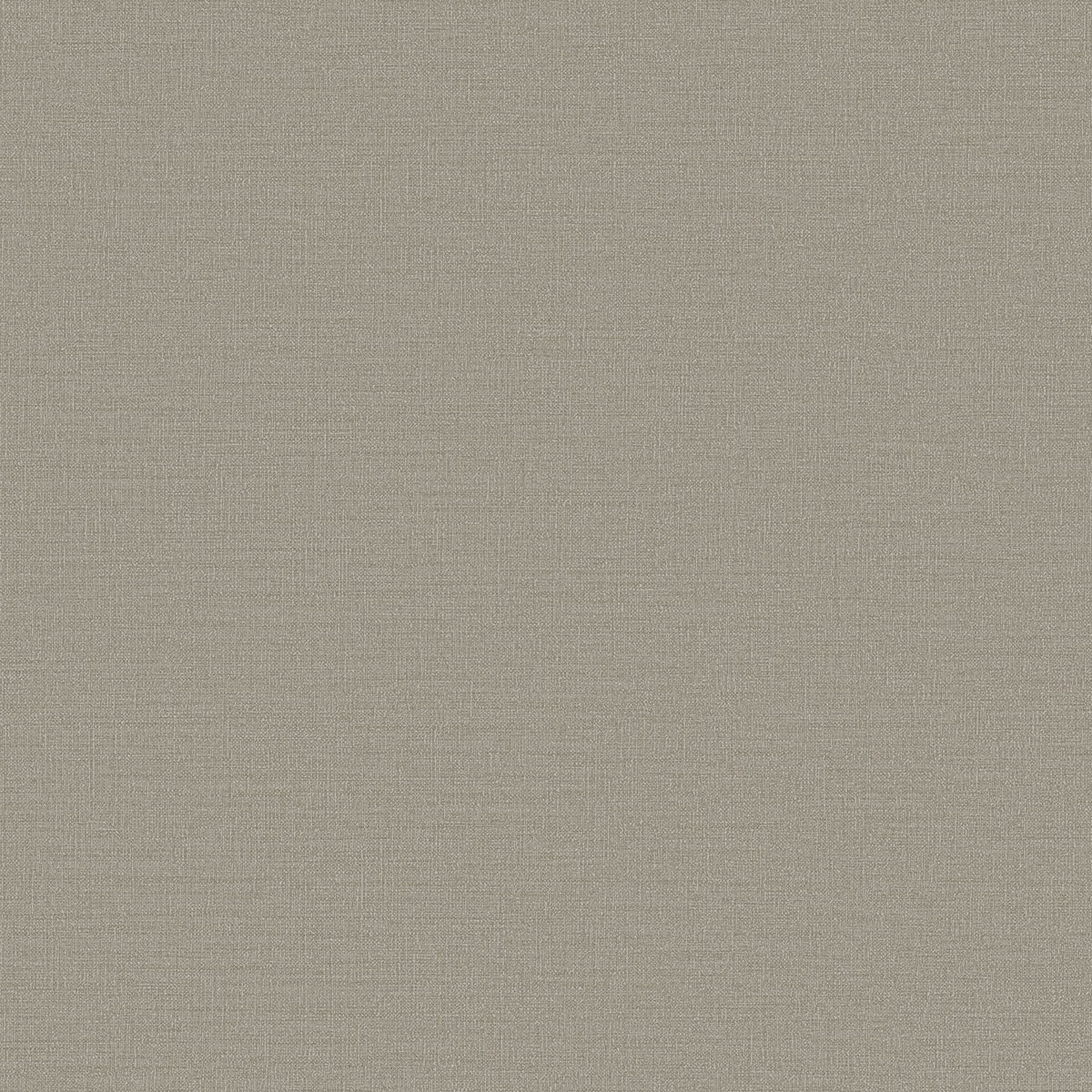 Fine Lines Texture Wallpaper in Beige color - pattern number DC30204 - by Galerie in the Designer Colors collection