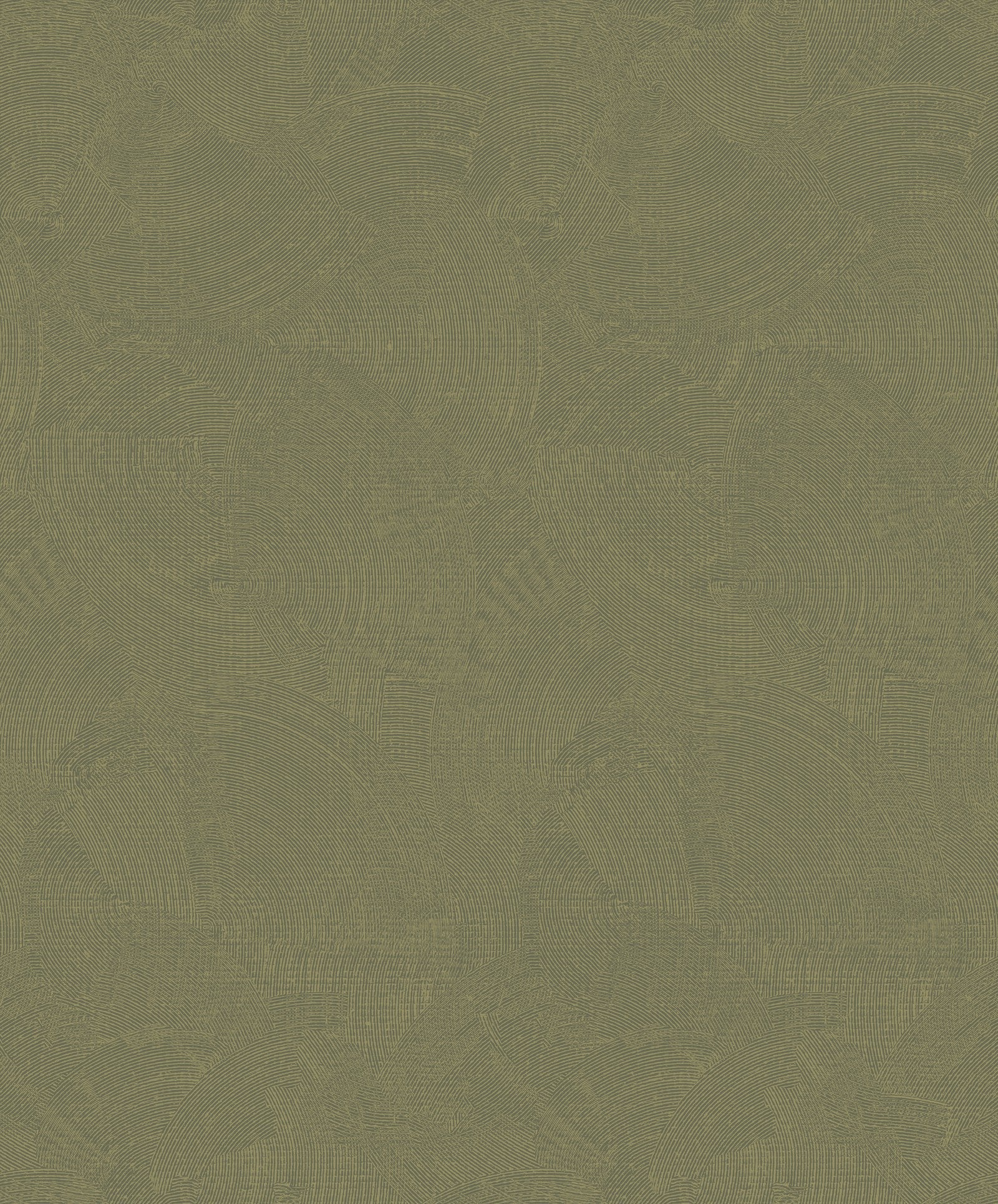Plaster Fan wallpaper in gold color - pattern number DWP0366-01 - by Galerie in the Zen collection
