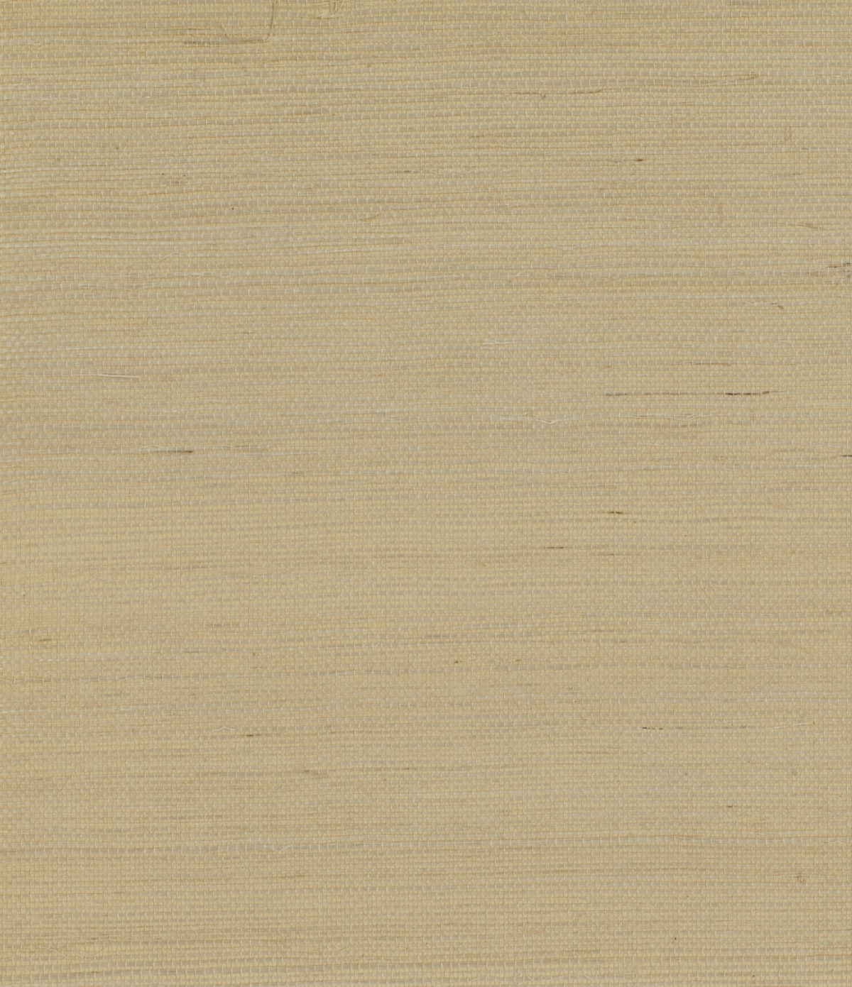 Sisal fabric in bisque color - pattern number GG10003 - by Seabrook in the Pelican Grasscloth collection