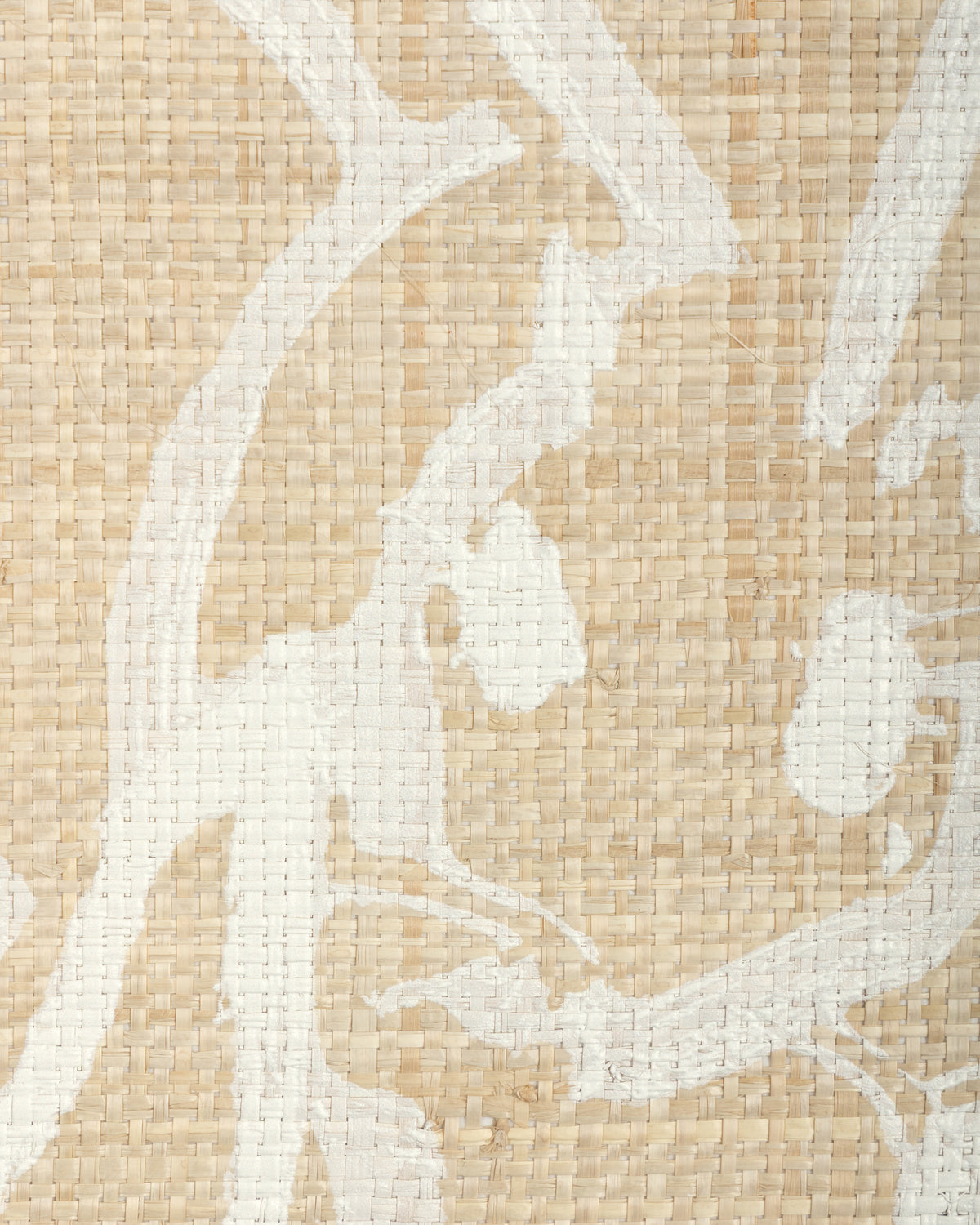 Hutch Raffia Wallpaper in Ivory color - pattern number GWP-3750.161.0 - by Lee Jofa Modern in the Hunt Slonem Belle Terre collection