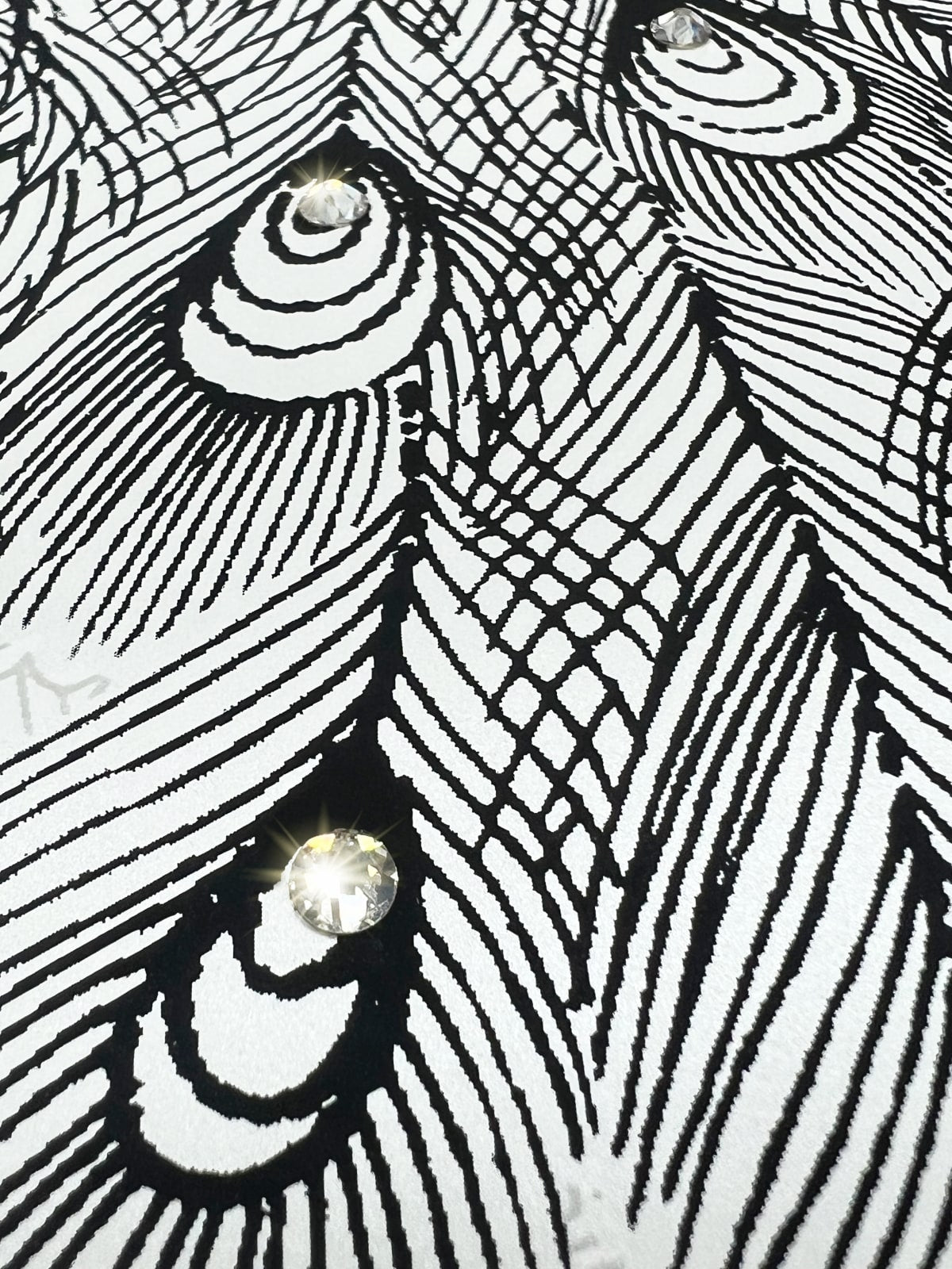 Peacock Peel and Stick wallpaper in ivory and ebony color - pattern number HG12200 - by NextWall in the Peel and Stick Wallpaper by Harry and Grace 4 collection
