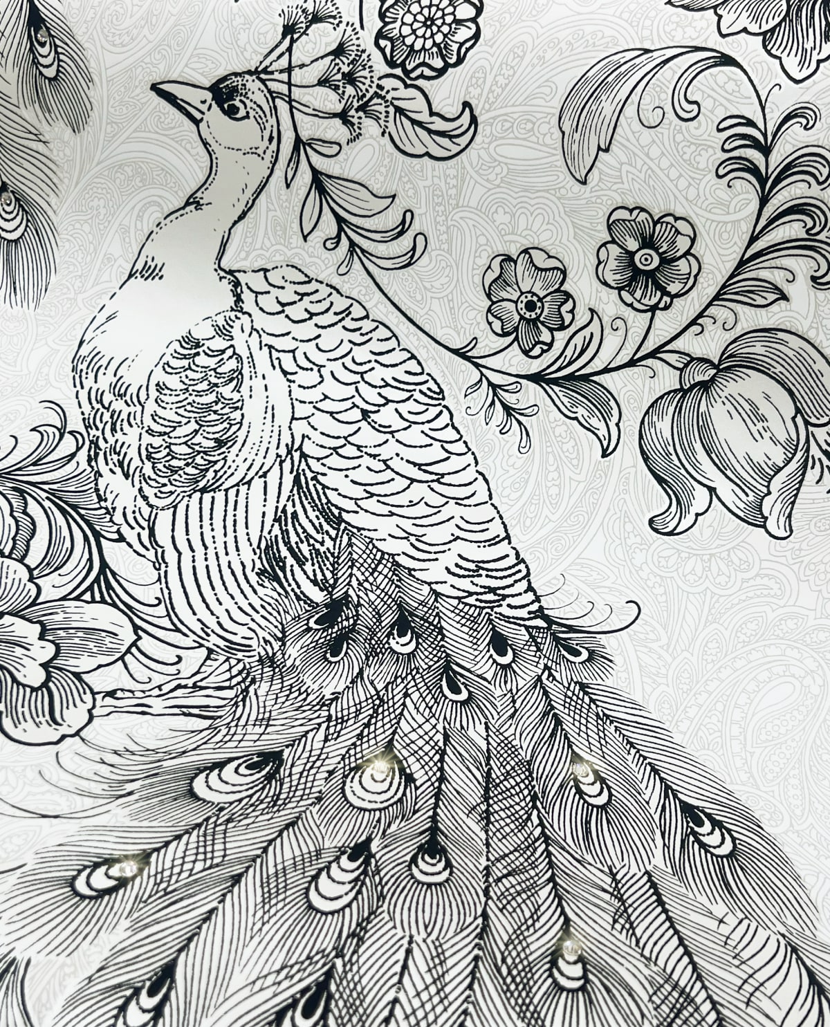 Peacock Peel and Stick wallpaper in ivory and ebony color - pattern number HG12200 - by NextWall in the Peel and Stick Wallpaper by Harry and Grace 4 collection