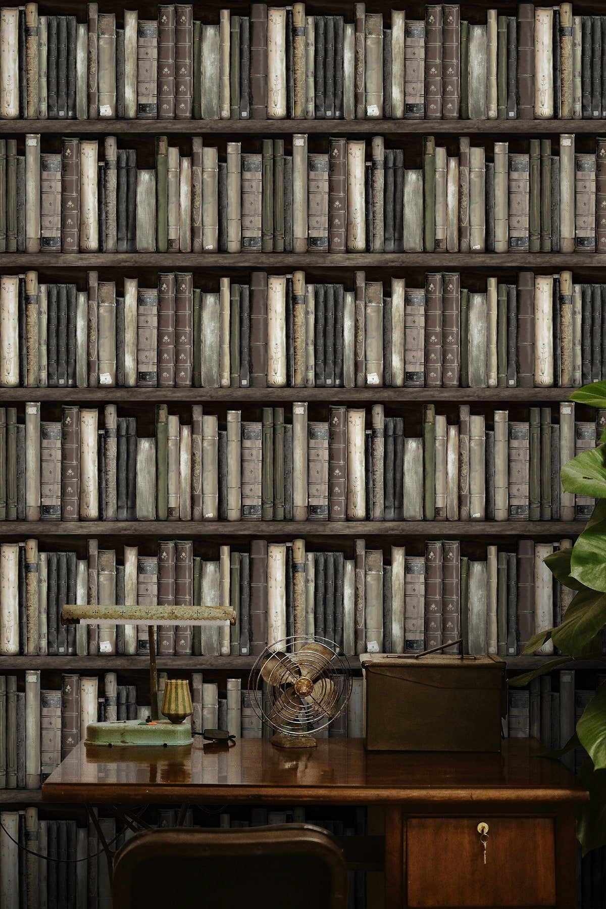 Faux Bookshelves Peel and Stick wallpaper in shale color - pattern number HG13200 - by NextWall in the Peel and Stick Wallpaper by Harry and Grace 5 collection