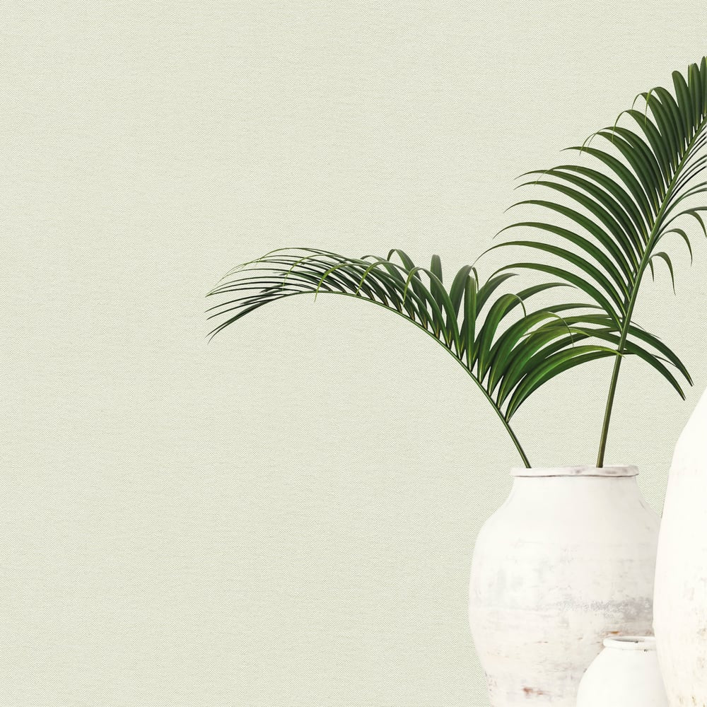 Plain Texture Wallpaper in Green color - pattern number GG82156 - by Galerie in the Hygge Home collection