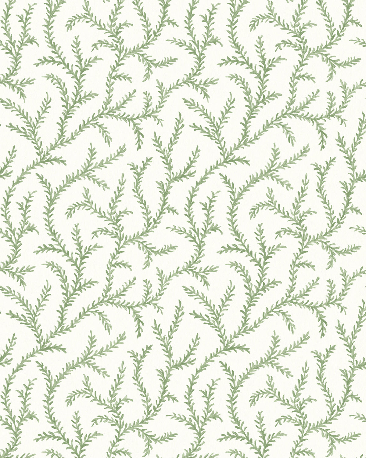 Inaya Wallpaper in Sage color - pattern number PWC100010.30.0 - by The Pure Edit in the Sustainable Wallcovering collection