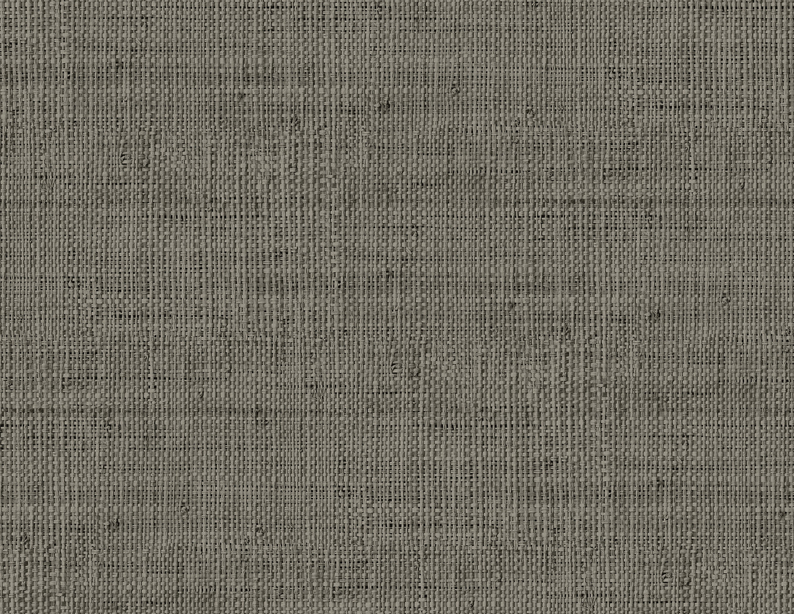 Wild Bind wallpaper in grey storm color - pattern number RA40319 - by Seabrook in the Raffia collection