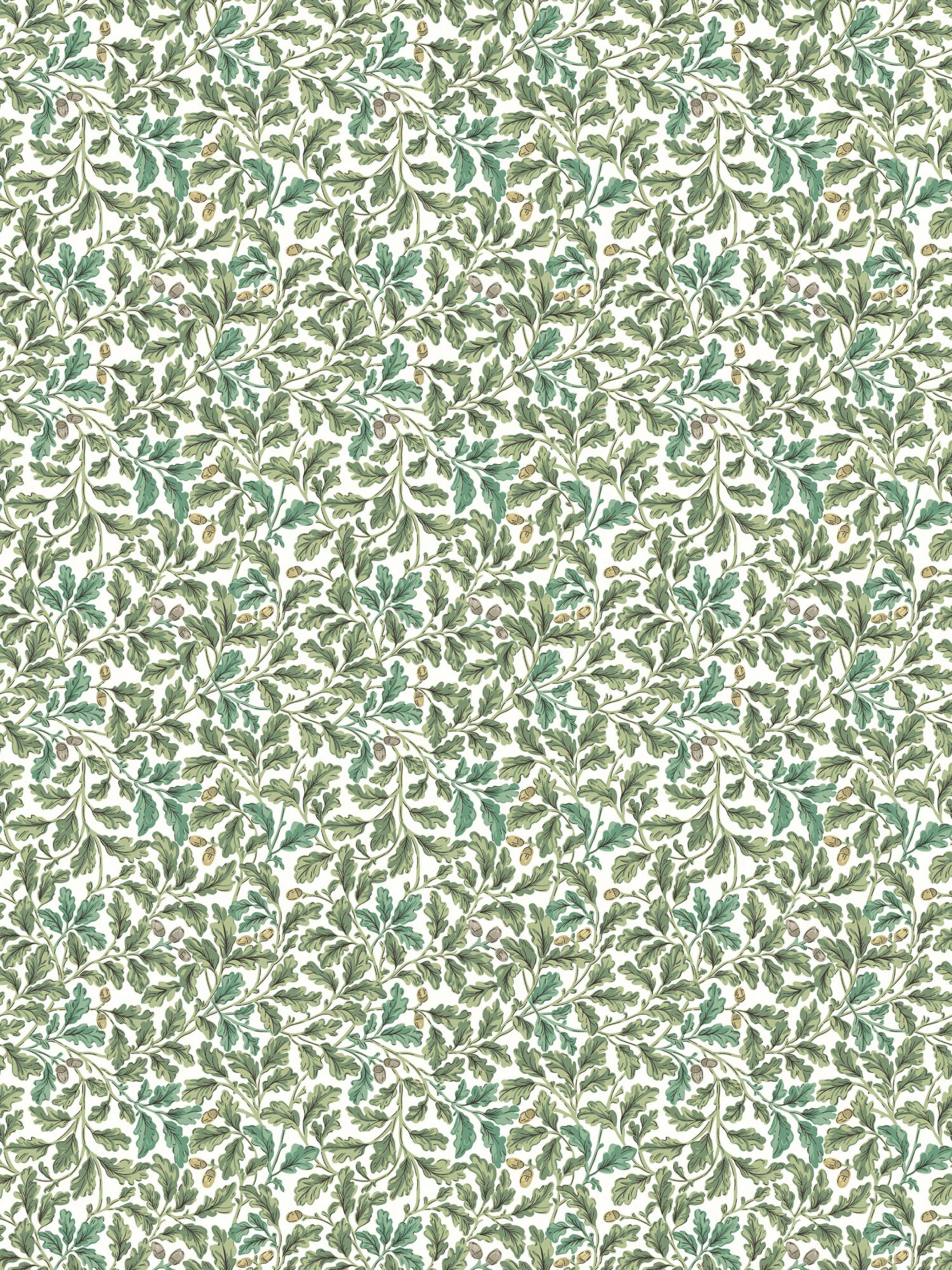 Oaktree wallpaper in forest color - pattern number SC WP16089D0008 - by Scalamandre in the collection
