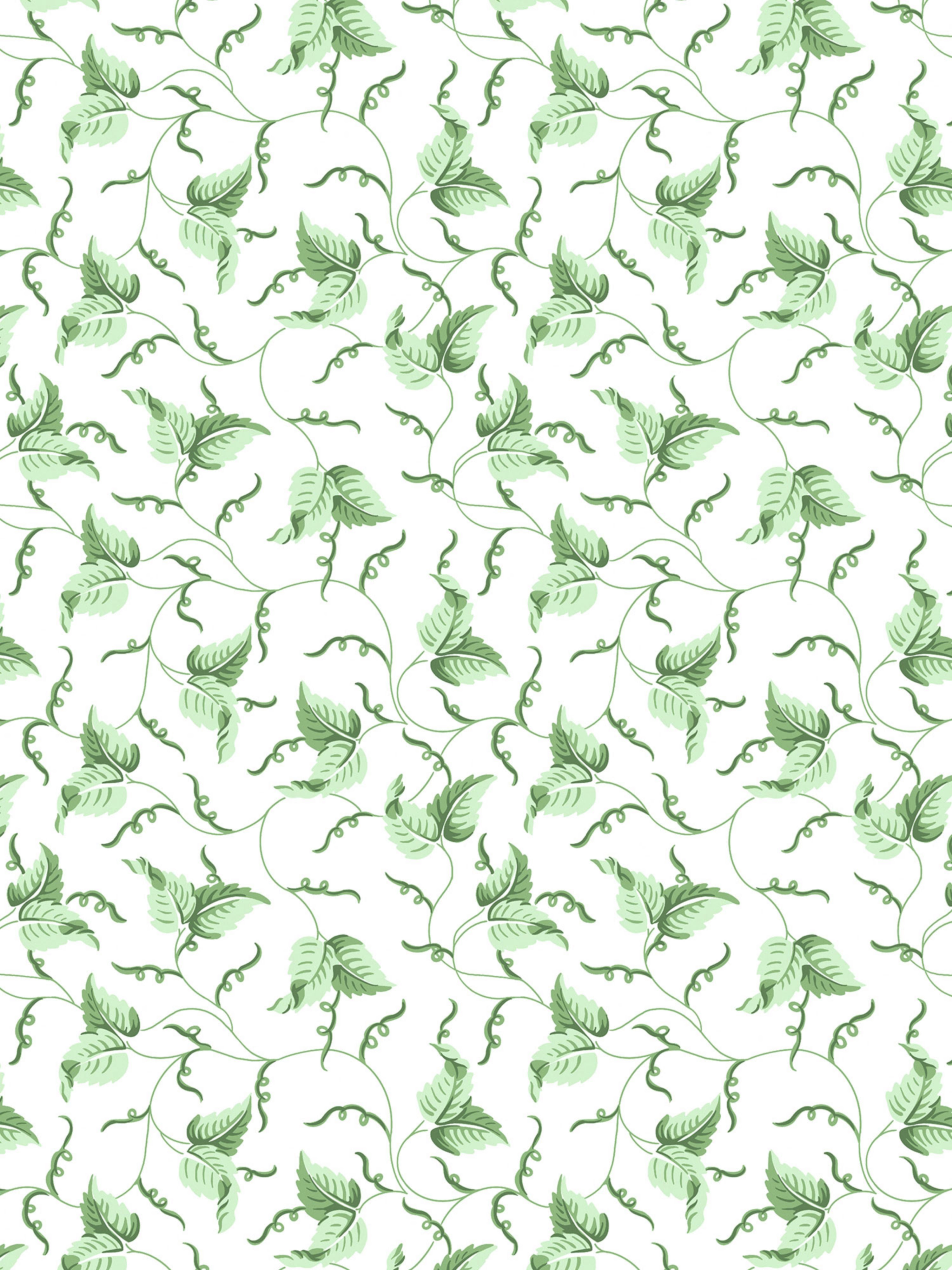 Angle Leaf wallpaper in moss color - pattern number SC WP81525D0003 - by Scalamandre in the collection