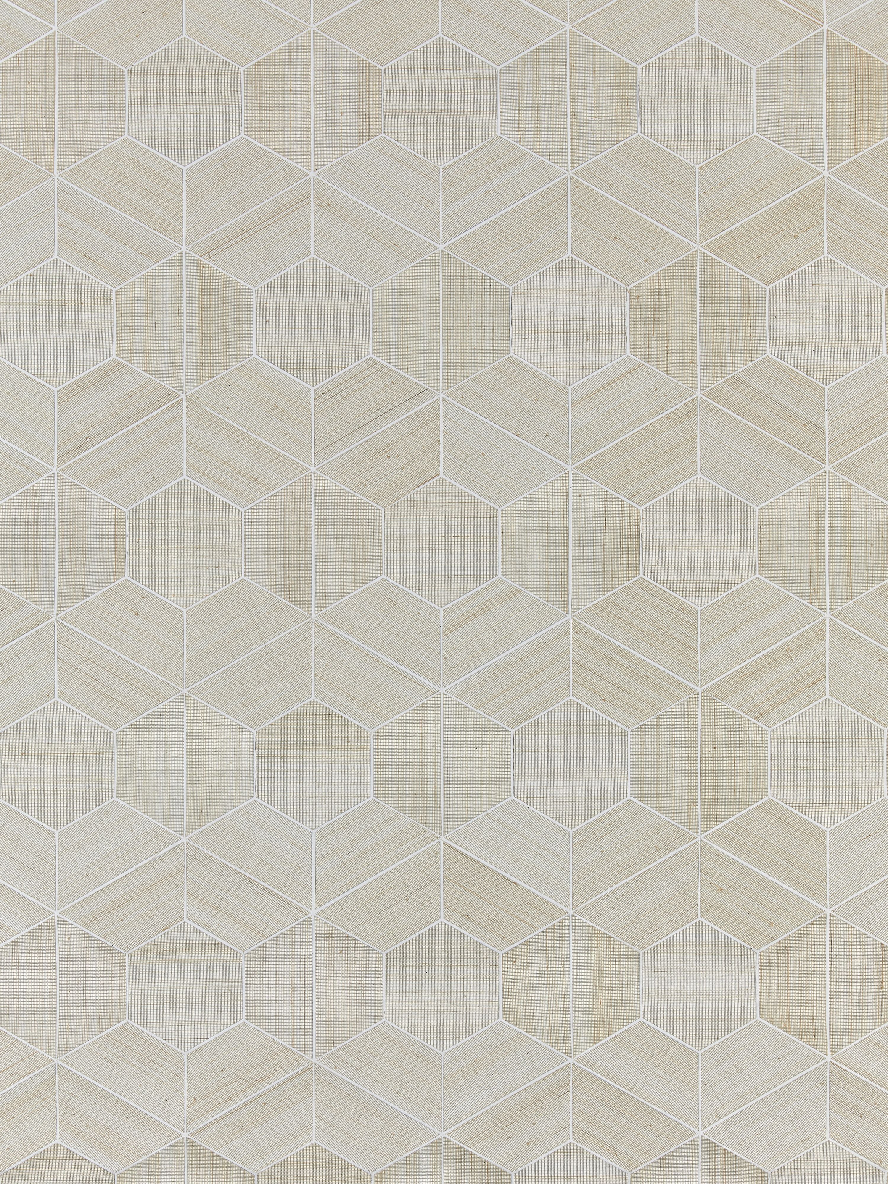 Hive Abaca wallpaper in snowflake color - pattern number SC 0001WP88469 - by Scalamandre in the collection