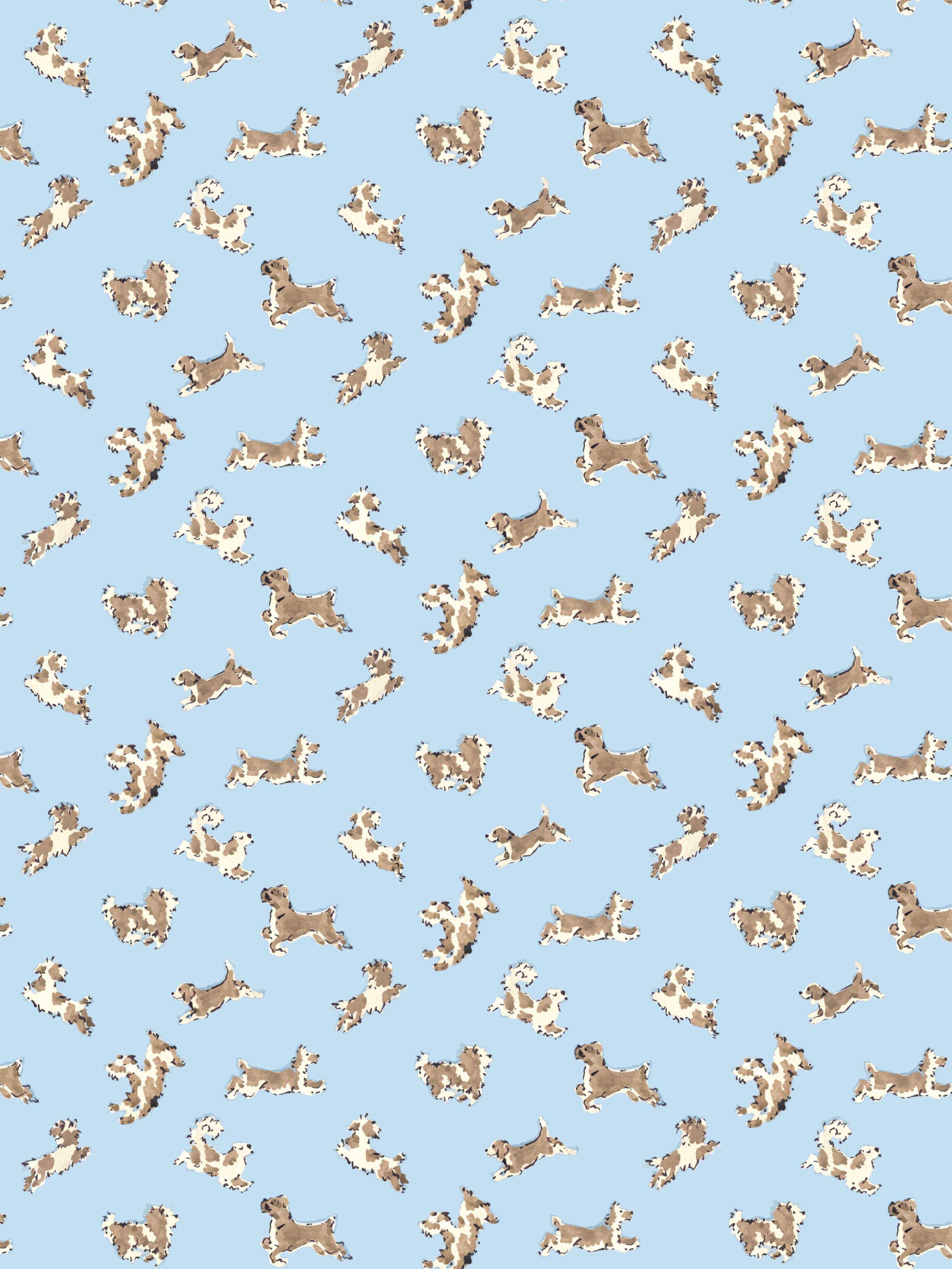 Fete De Chien wallpaper in light blue and suede color - pattern number SC WP88183D0002 - by Scalamandre in the collection