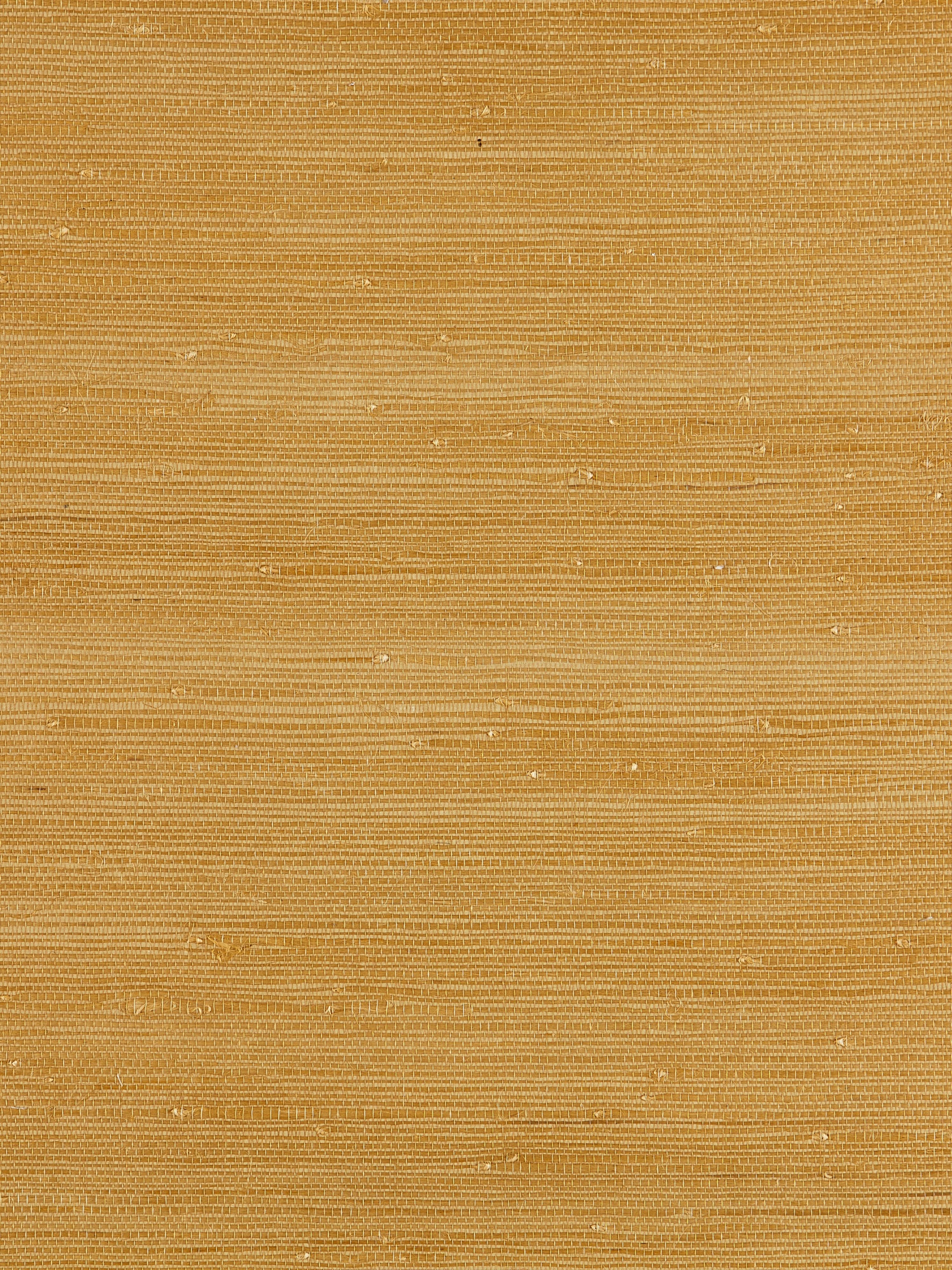 Textured Sisal wallpaper in saffron color - pattern number SC 0002WP88343 - by Scalamandre in the collection