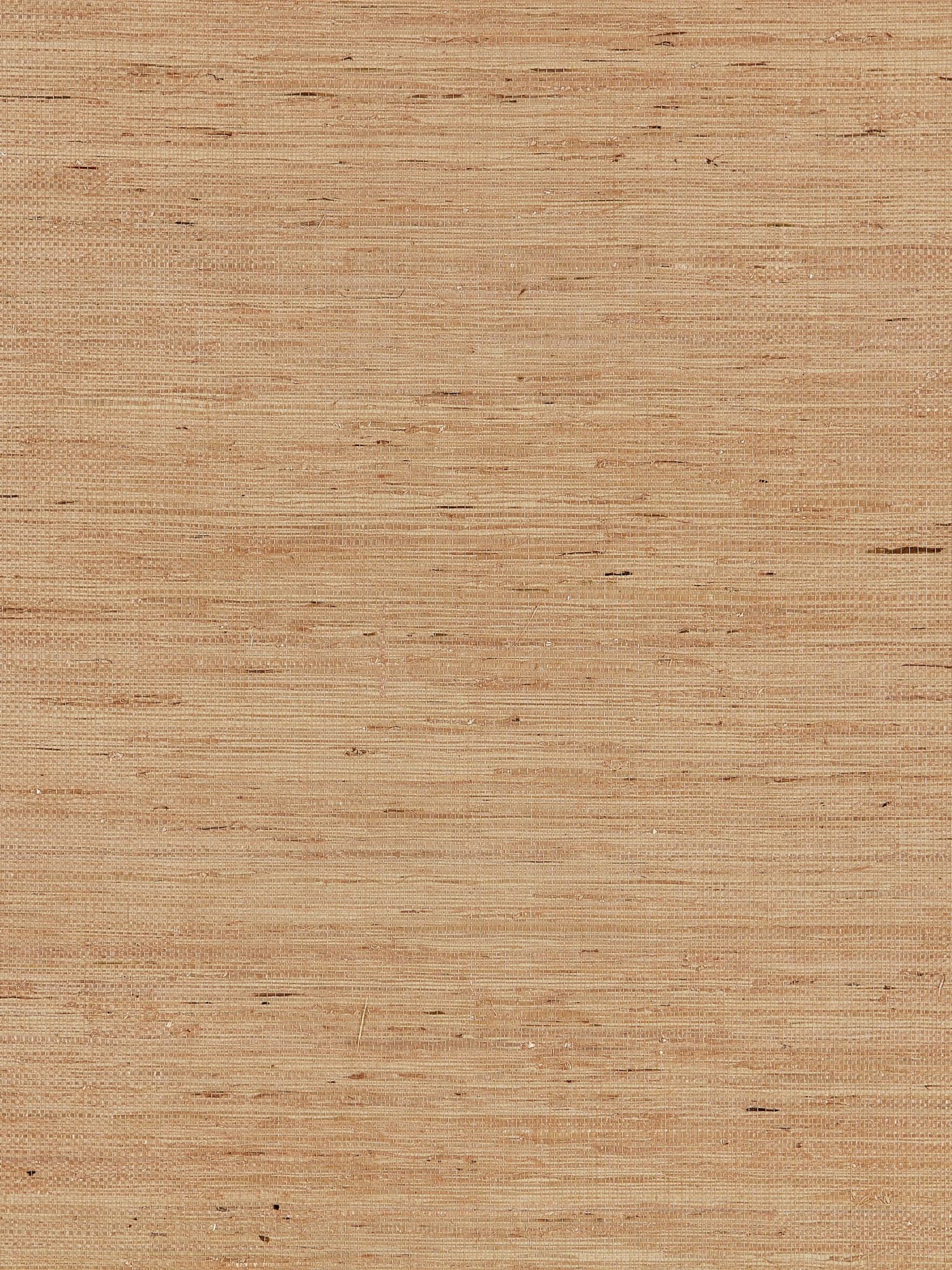 Arrowroot Weave fabric in camel color - pattern number SC 0002WP88344 - by Scalamandre in the  collection
