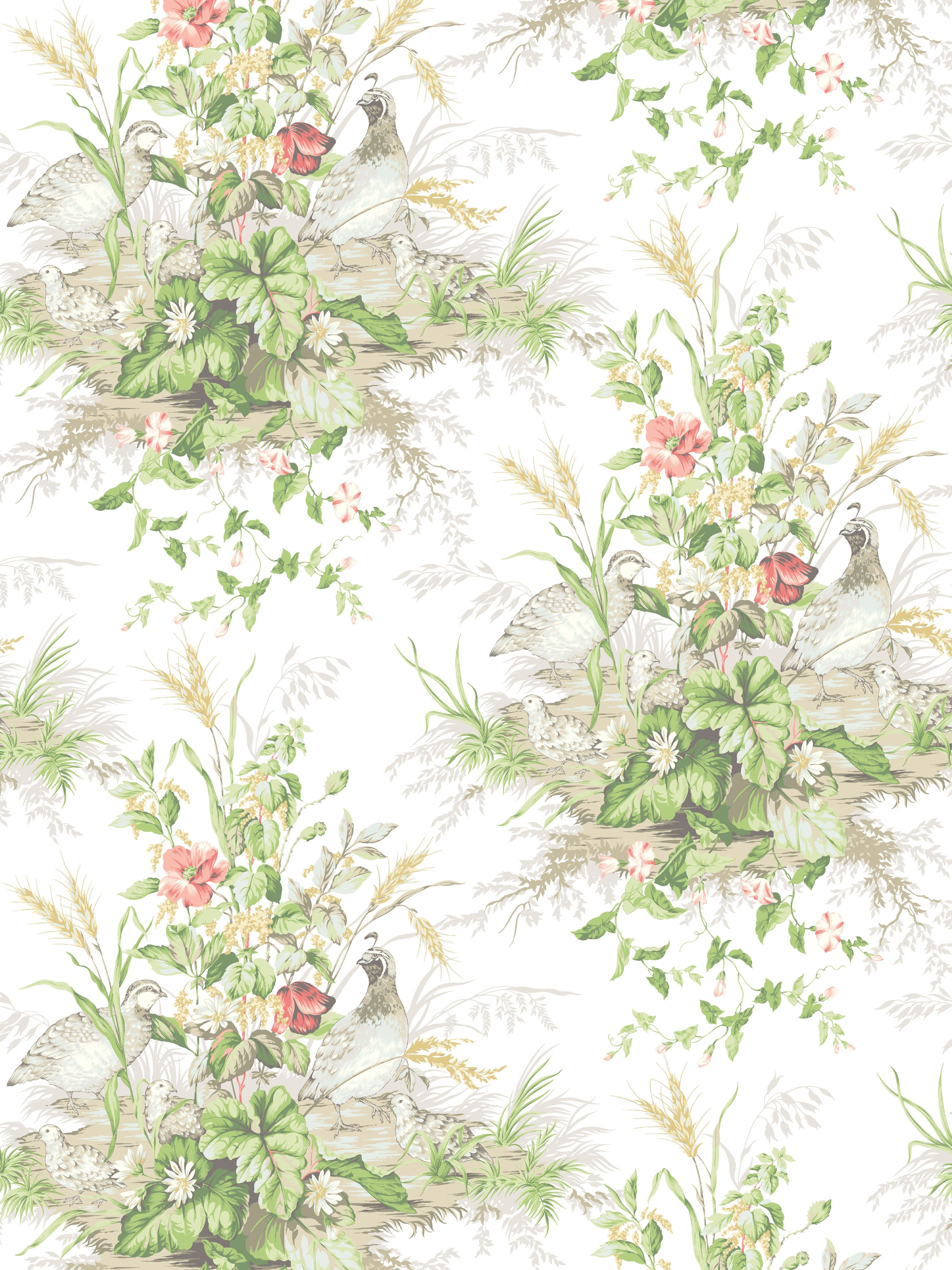 Edwins Covey wallpaper in prairie color - pattern number SC 0002WP88434 - by Scalamandre in the collection