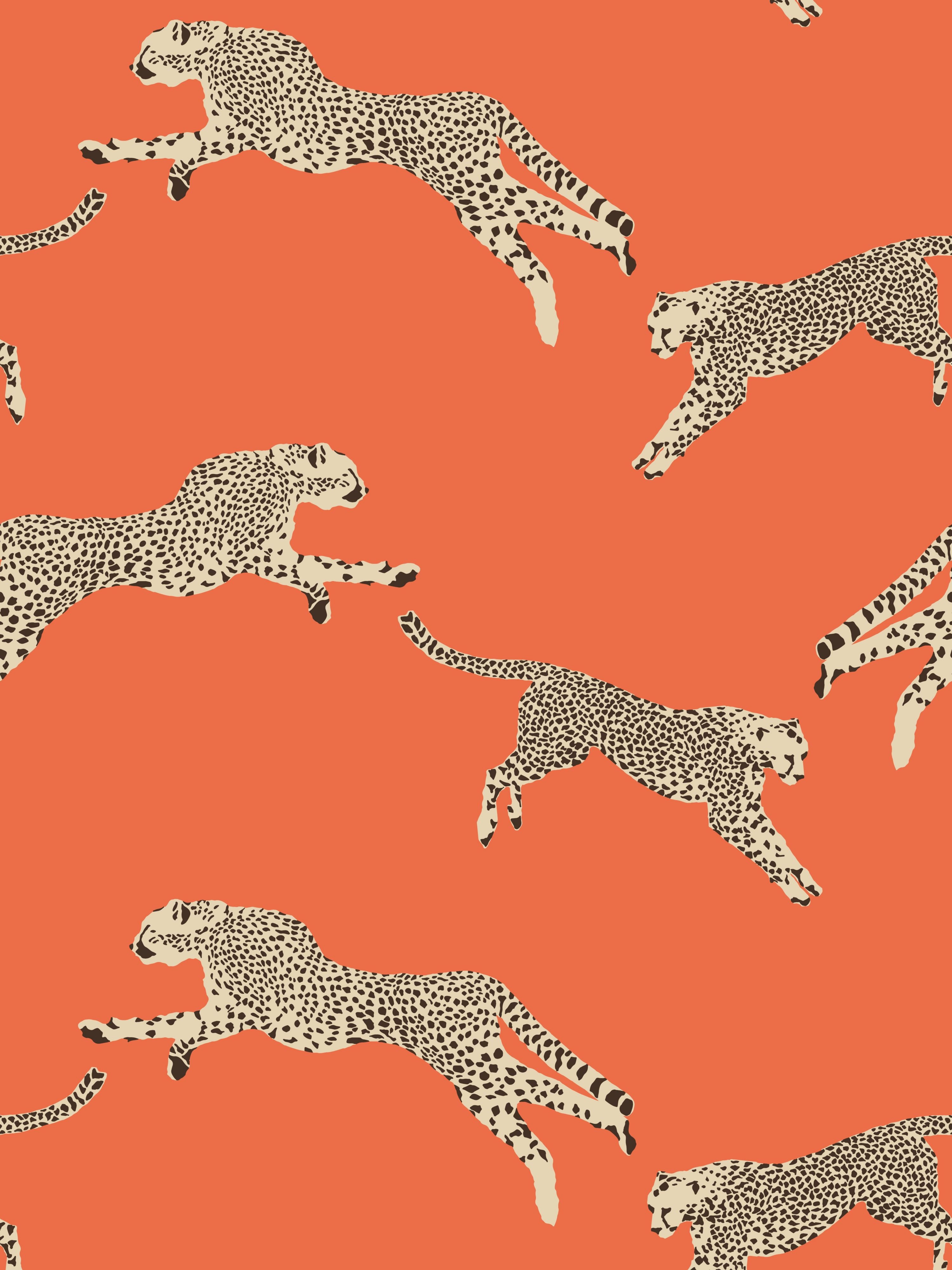 Leaping Cheetah wallpaper in clementine color - pattern number SC 0002WP88449 - by Scalamandre in the collection