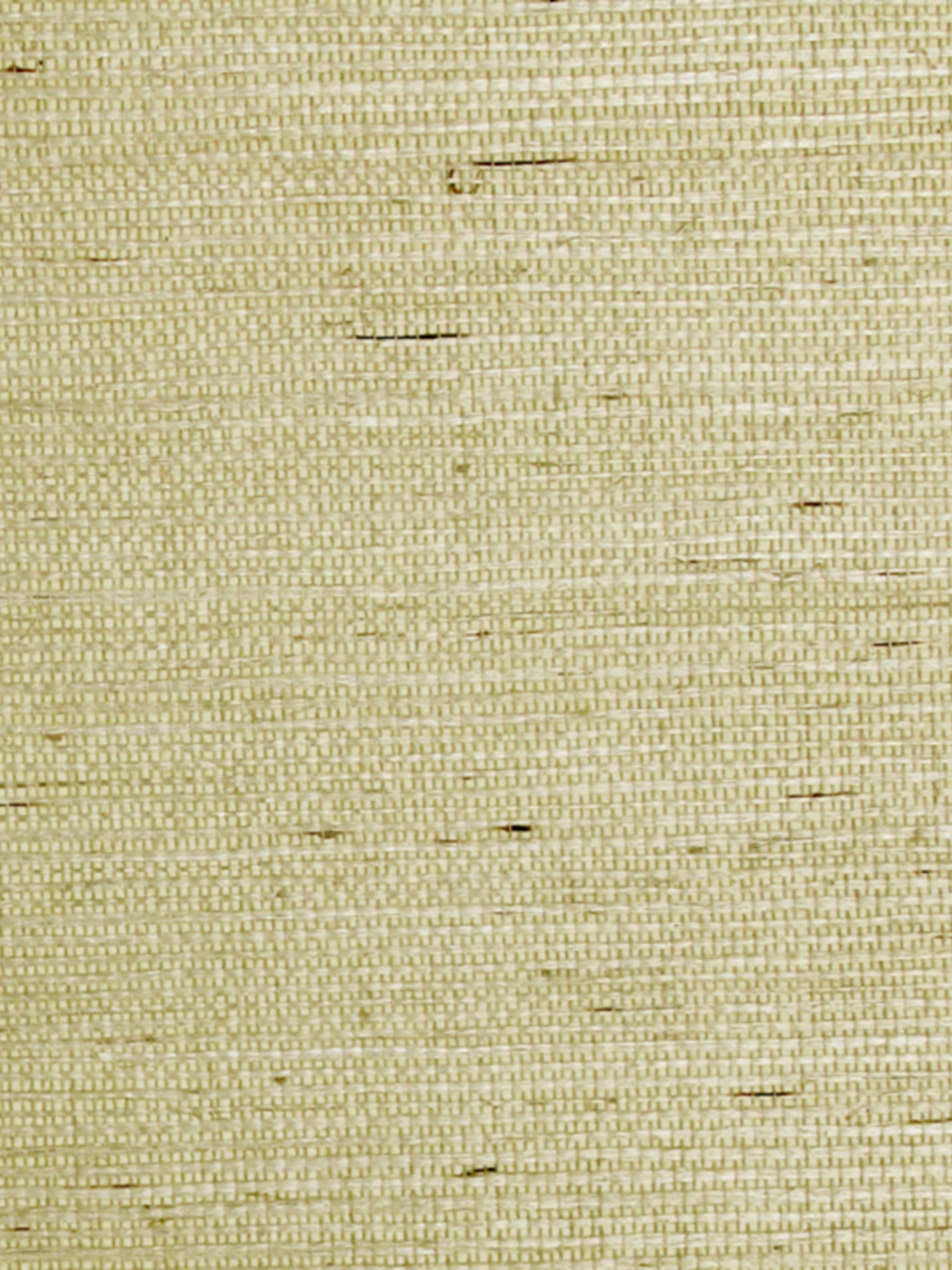 Sisal wallpaper in wheat color - pattern number SC 0003G1193 - by Scalamandre in the collection