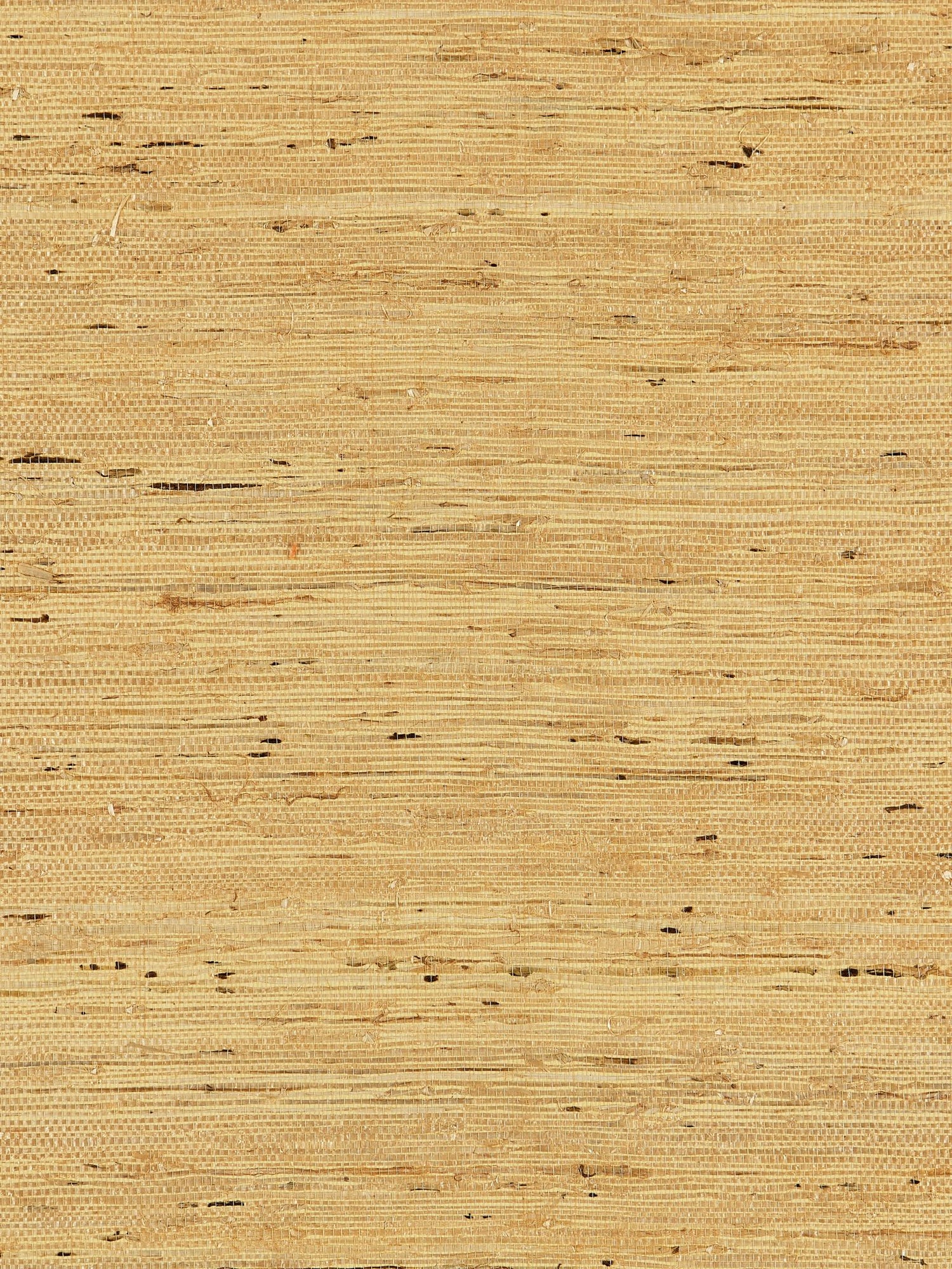 Arrowroot Weave fabric in honey color - pattern number SC 0003WP88344 - by Scalamandre in the  collection