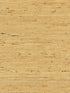 Arrowroot Weave fabric in honey color - pattern number SC 0003WP88344 - by Scalamandre in the  collection