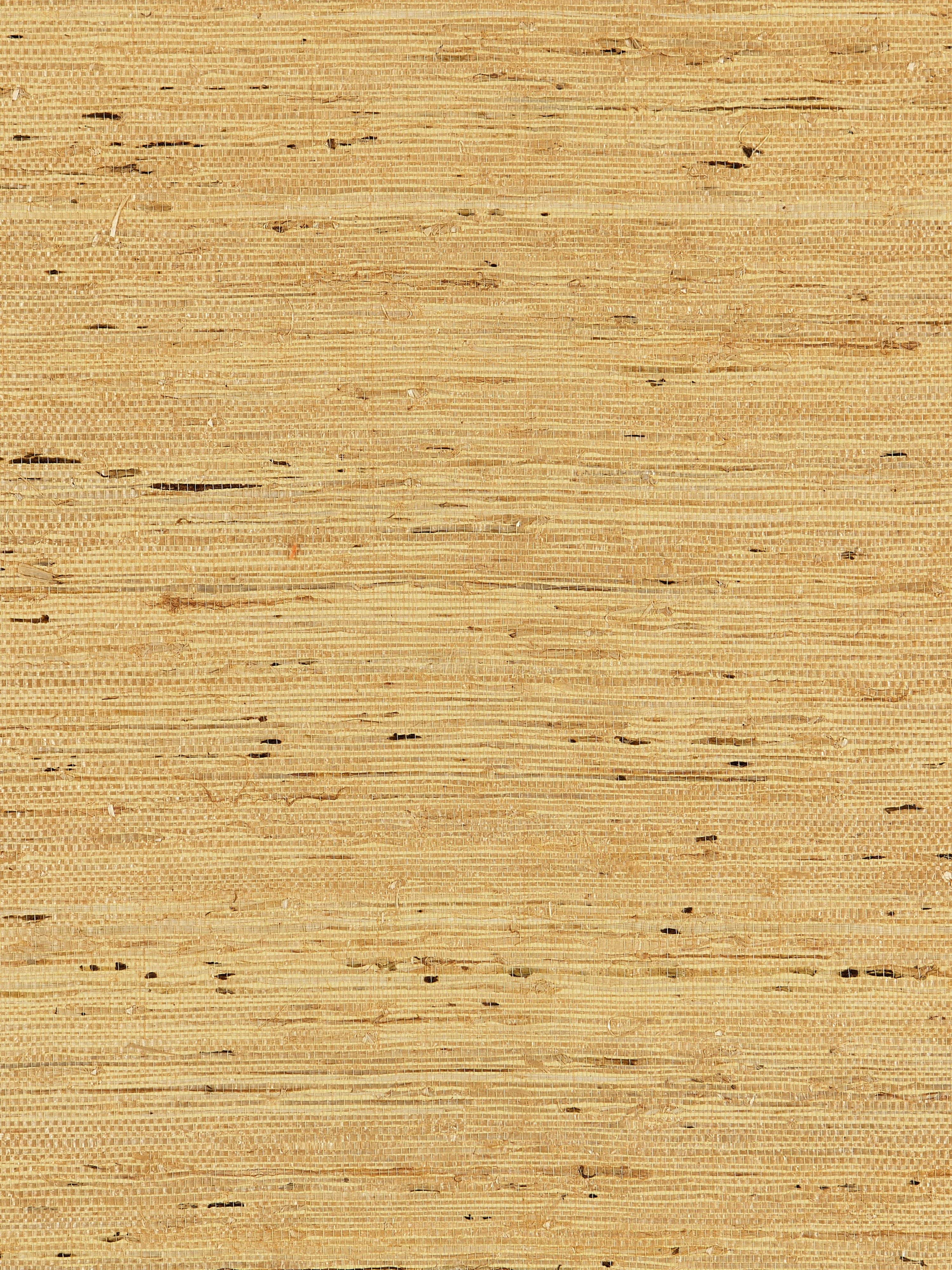 Arrowroot Weave wallpaper in honey color - pattern number SC 0003WP88344 - by Scalamandre in the collection