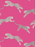 Leaping Cheetah fabric in bubblegum color - pattern number SC 0003WP88449D - by Scalamandre in the  collection