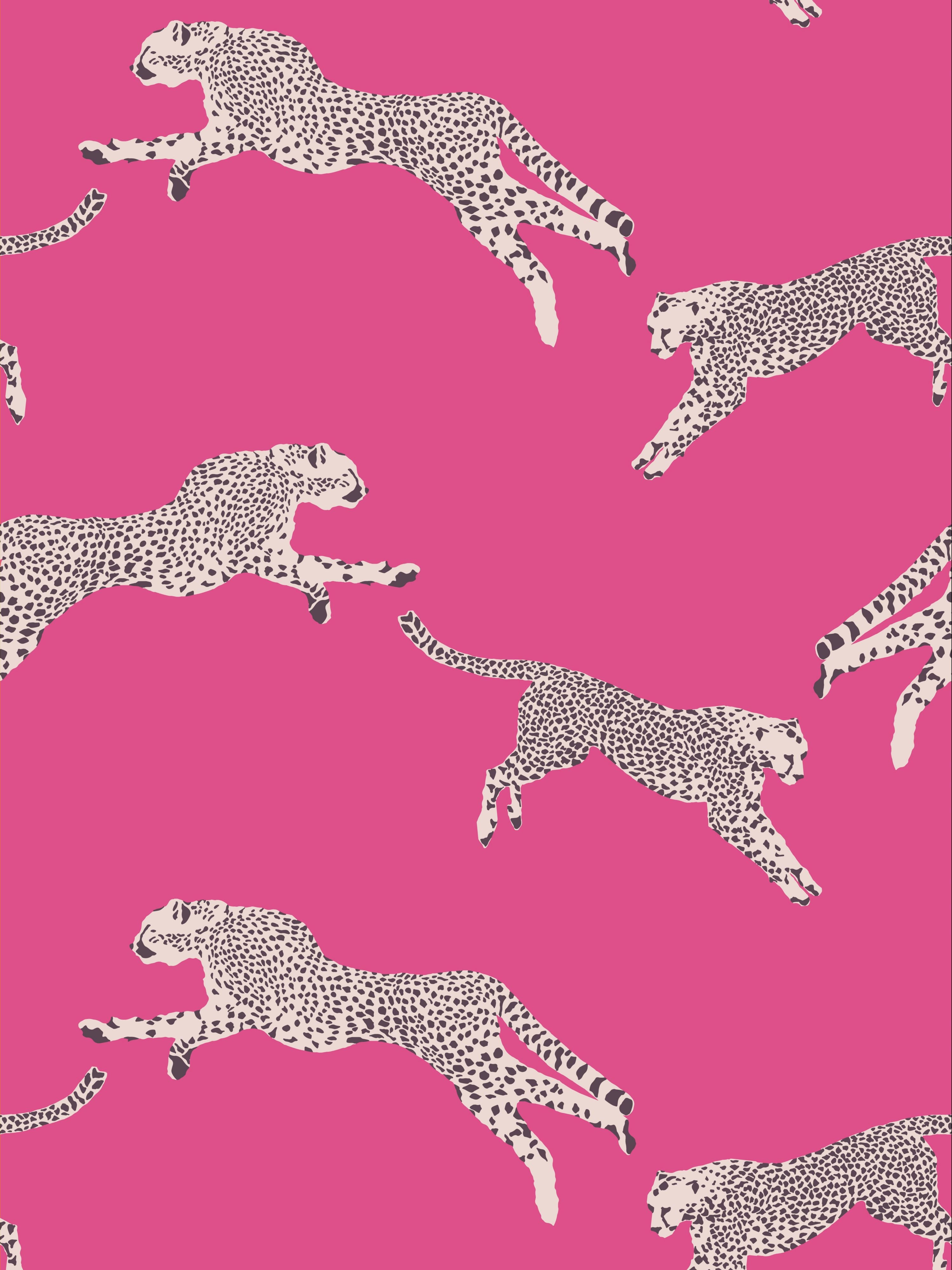 Leaping Cheetah wallpaper in bubblegum color - pattern number SC 0003WP88449D - by Scalamandre in the collection