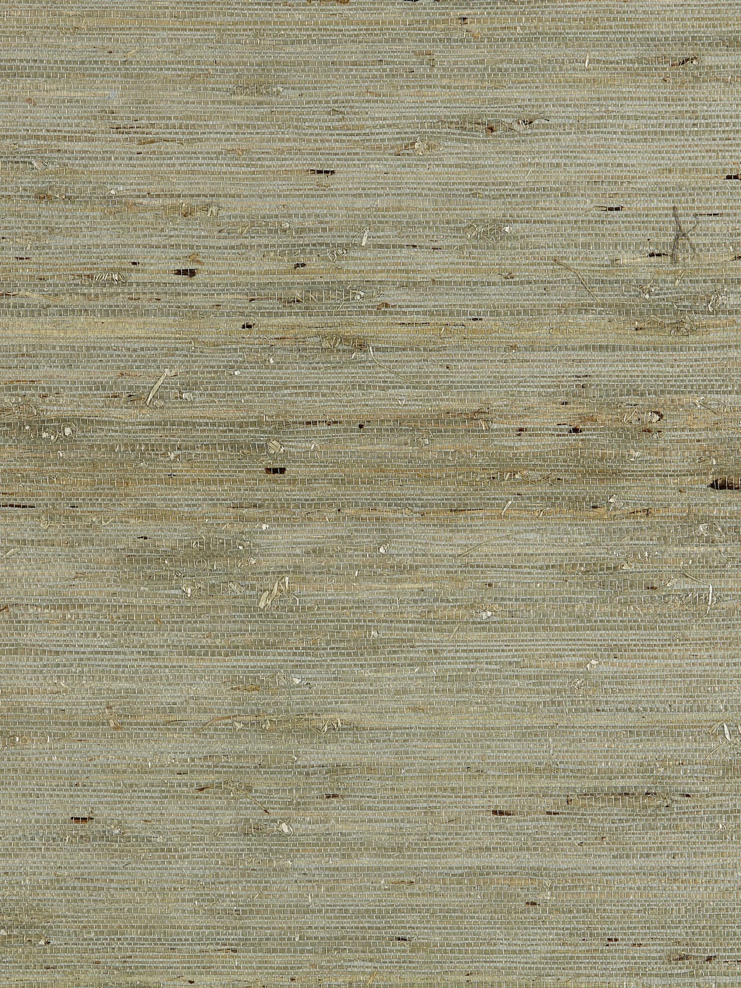 Arrowroot Weave fabric in water color - pattern number SC 0004WP88344 - by Scalamandre in the  collection