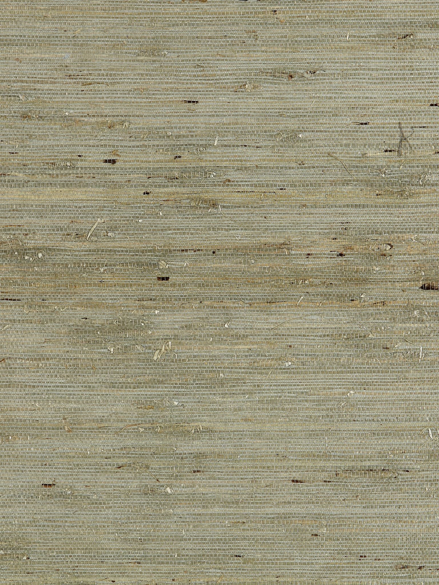 Arrowroot Weave fabric in water color - pattern number SC 0004WP88344 - by Scalamandre in the  collection